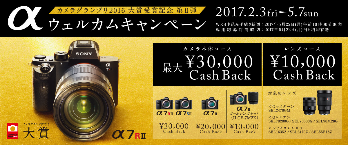 特設サイト 特設サイト
