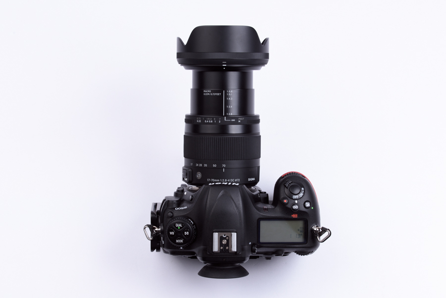 Nikon D500 + SIGMA Contemporary 17-70mm F2.8-4 DC MACRO OS HSM Nikon D500 + SIGMA Contemporary 17-70mm F2.8-4 DC MACRO OS HSM