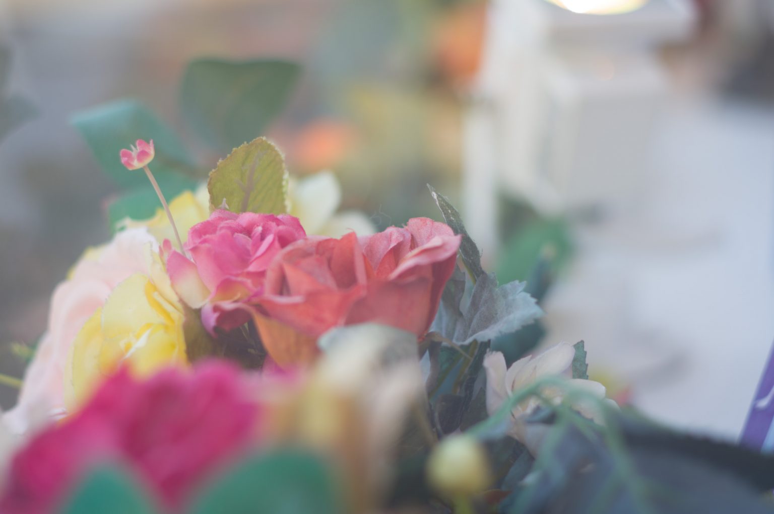 180:コンパクトさに敬意を表したい『 PENTAX HD PENTAX-DA 70mm F2.4 Limited 』