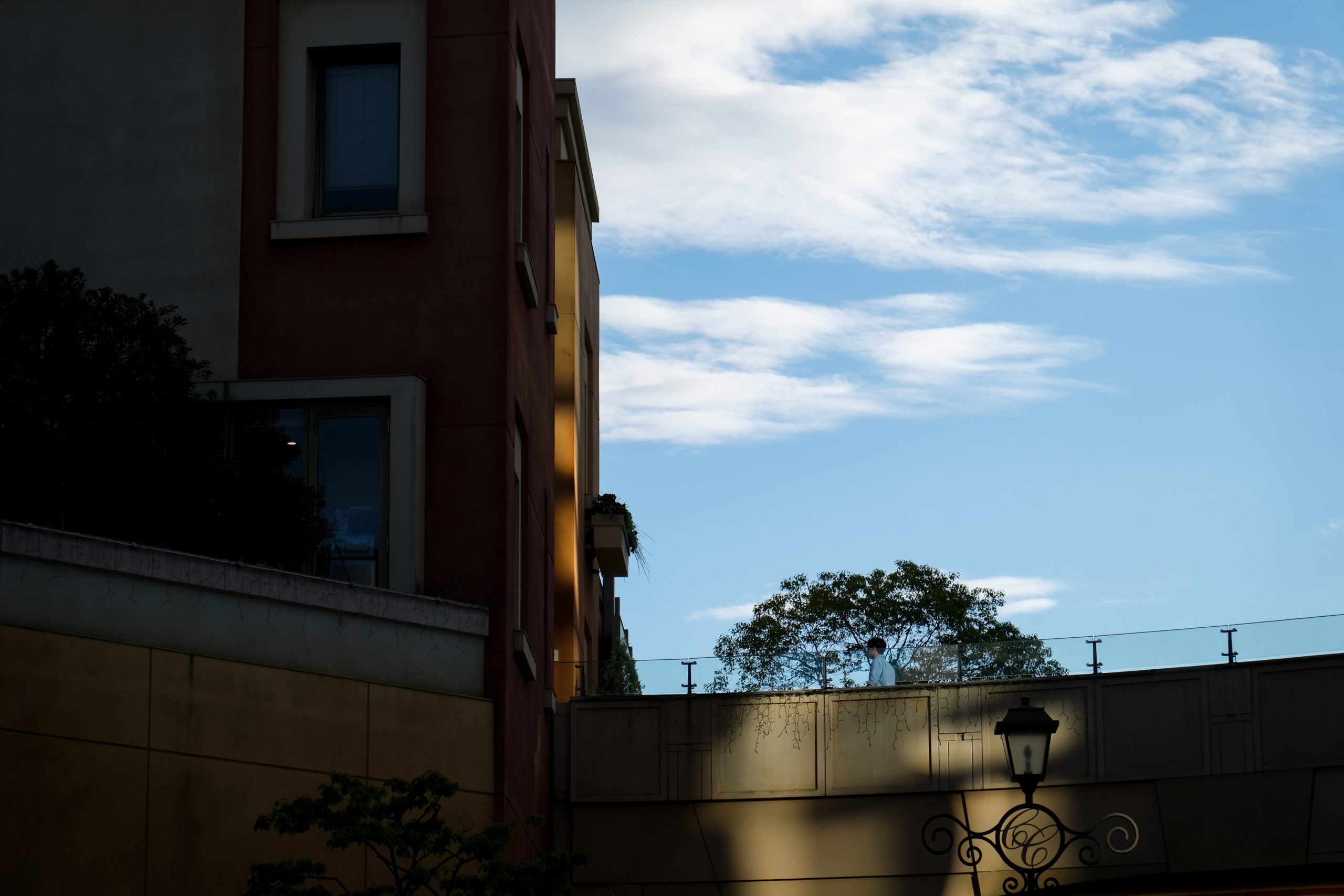 TAMRON 17-70mm F2.8 DiIII-A VC RXD X-Mount 実写レビュー作例