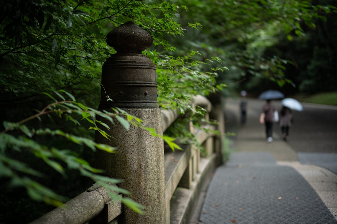 798: 柔らかく、情感を込めて『Voigtlander NOKTON 40mm F1.2