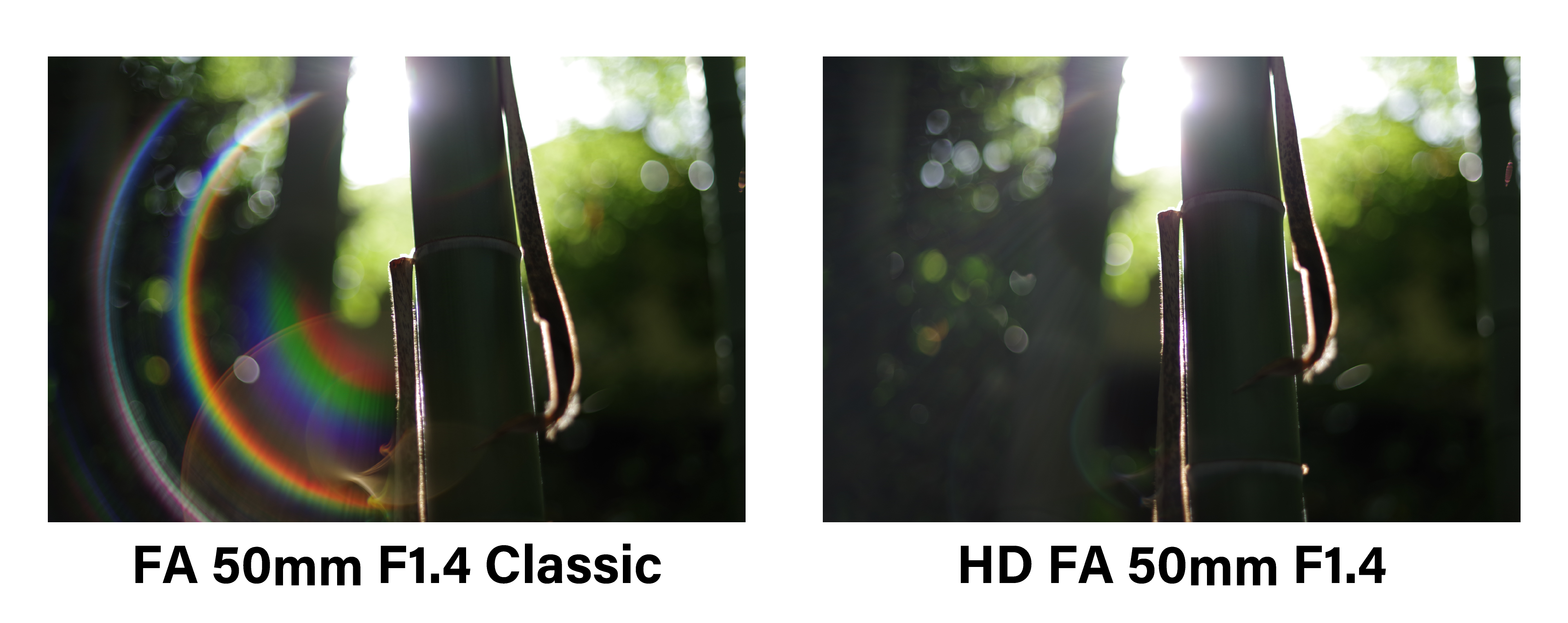 854: 進化と個性『PENTAX HD FA 50mm F1.4 ＆ FA 50mm F1.4 Classic