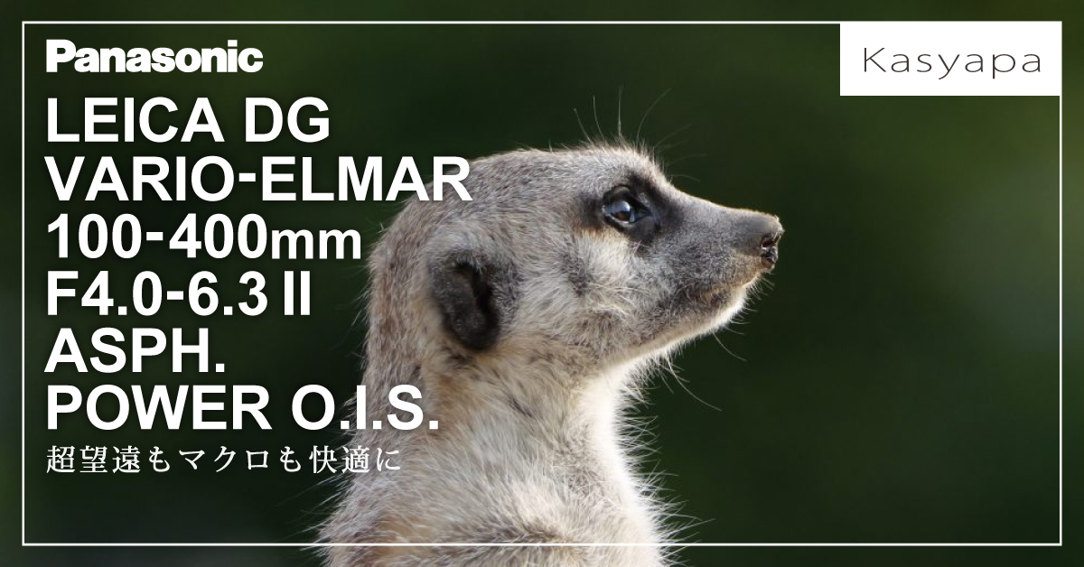 896: 超望遠もマクロも快適に『Panasonic LEICA DG VARIO-ELMAR