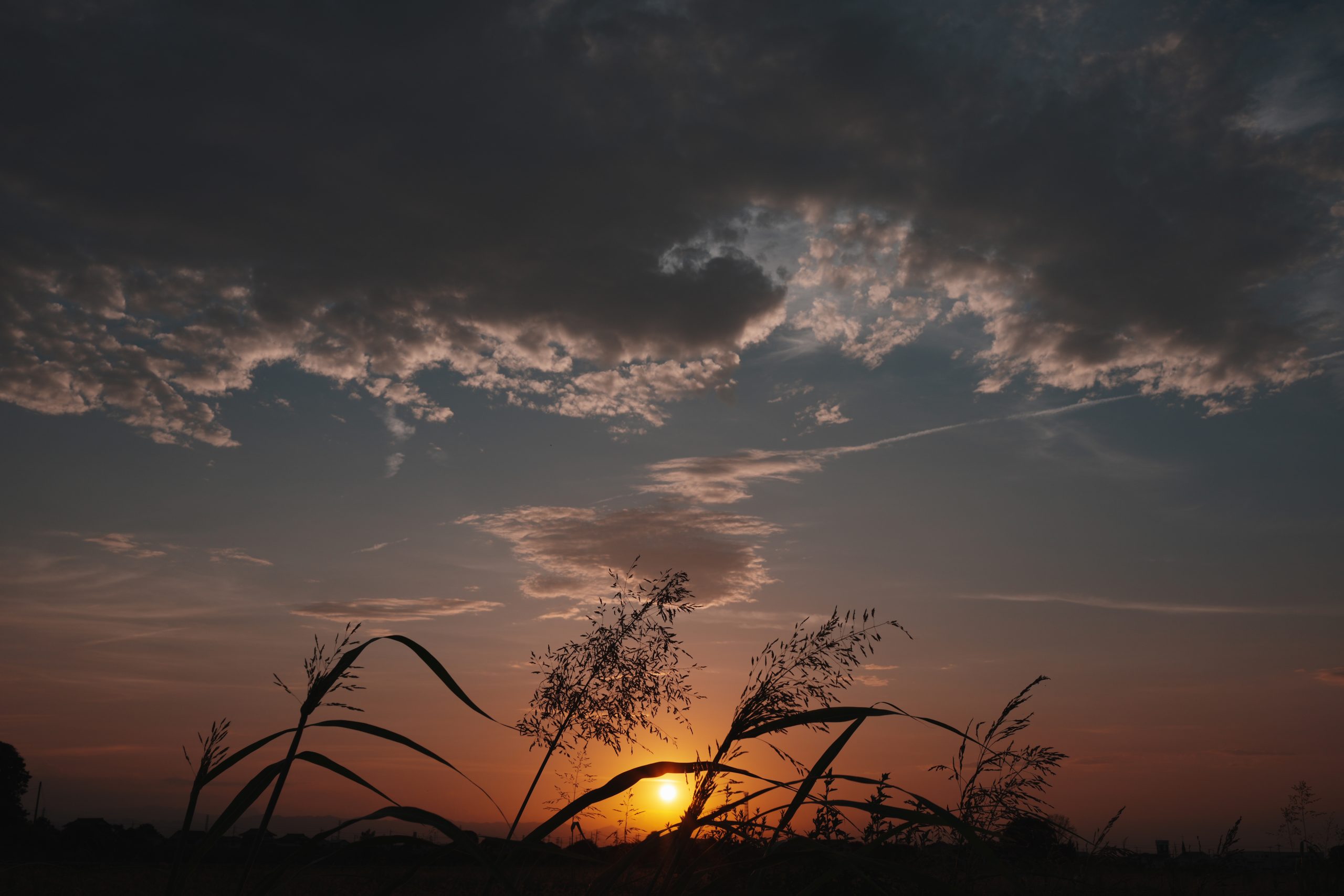 SONY Cyber-shot RX1R III