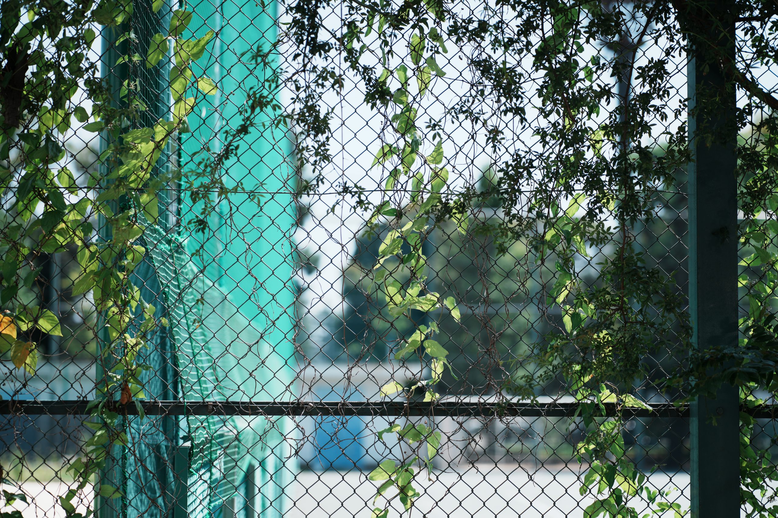 LK SAMYANG 85mm F1.8 P FE