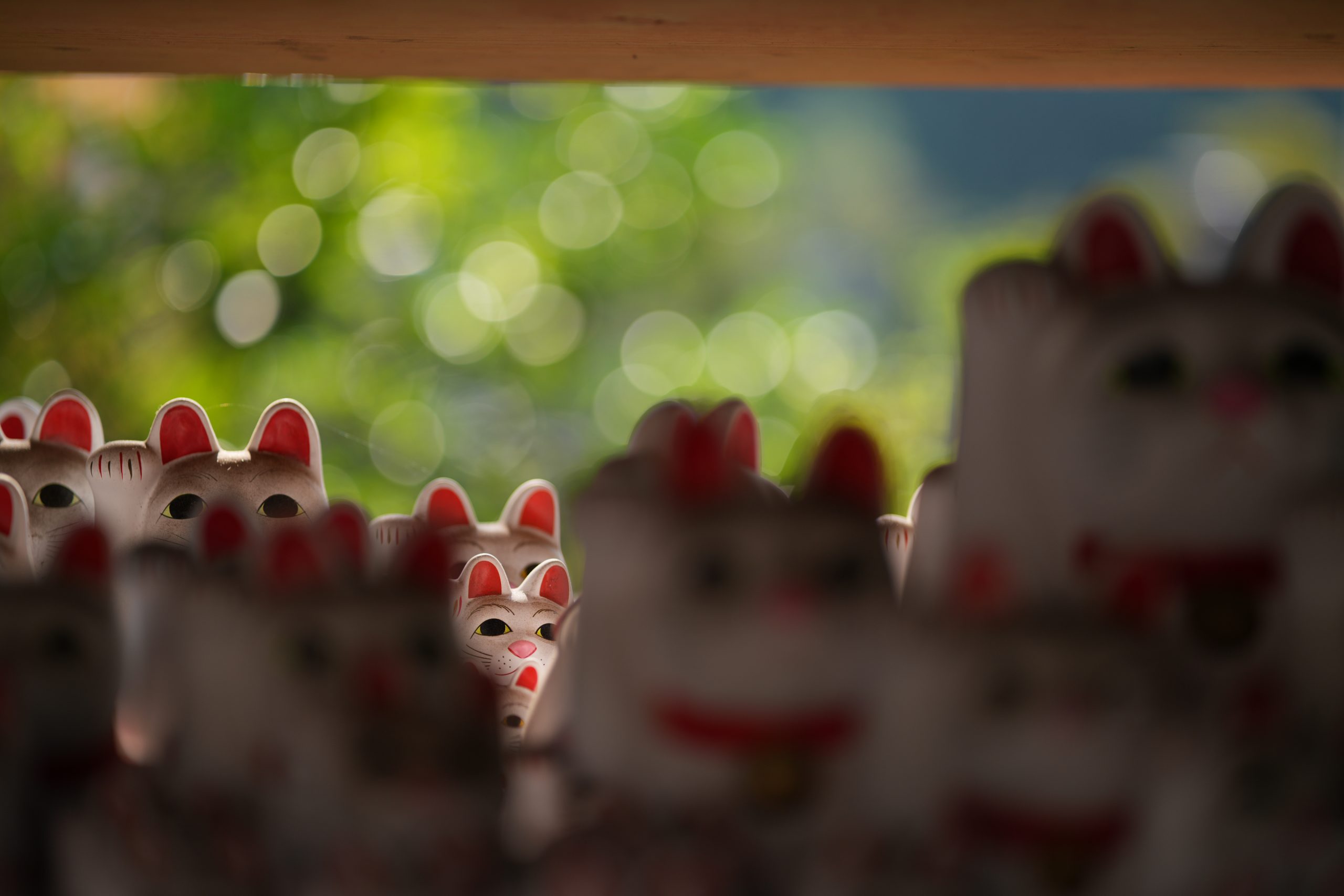 LK SAMYANG 85mm F1.8 P FE