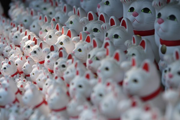 1008:最初の中望遠『 SAMYANG AF 85mm F1.8 P FE 』