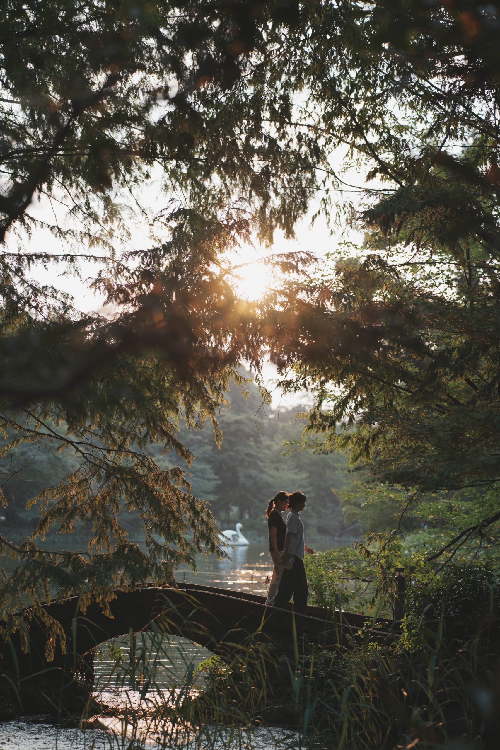 LK SAMYANG 85mm F1.8 P FE