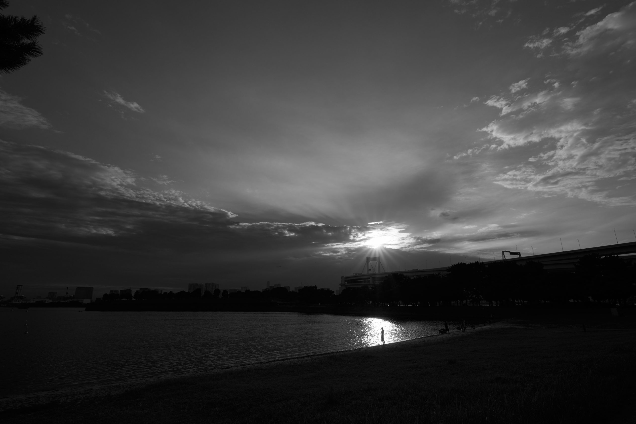 SIGMA Contemporary 12mm F1.4 DC