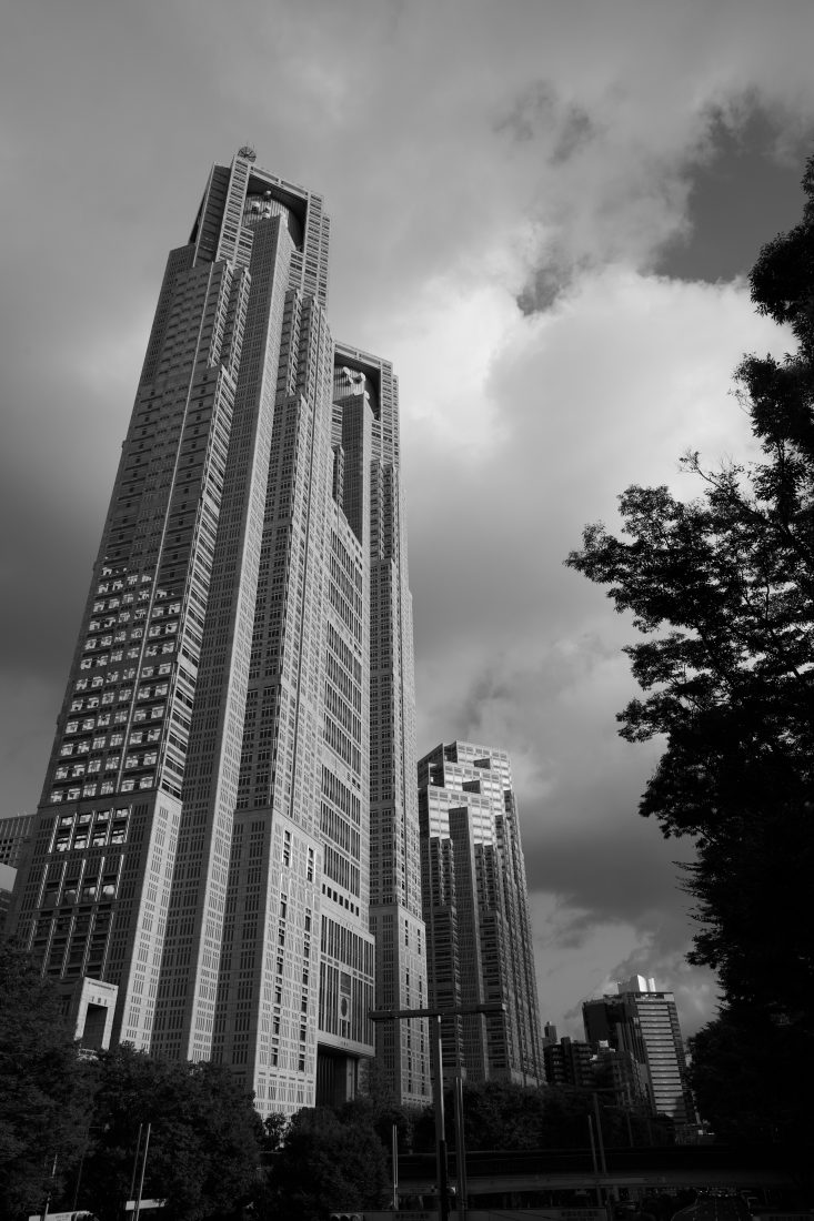 Nikon NIKKOR Z 24-70mm F2.8 S II 