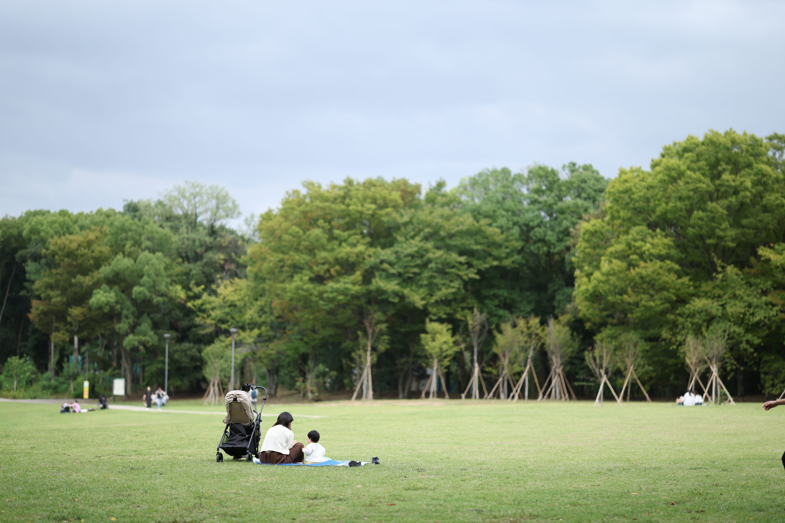RF85mm F1.4 L VCM