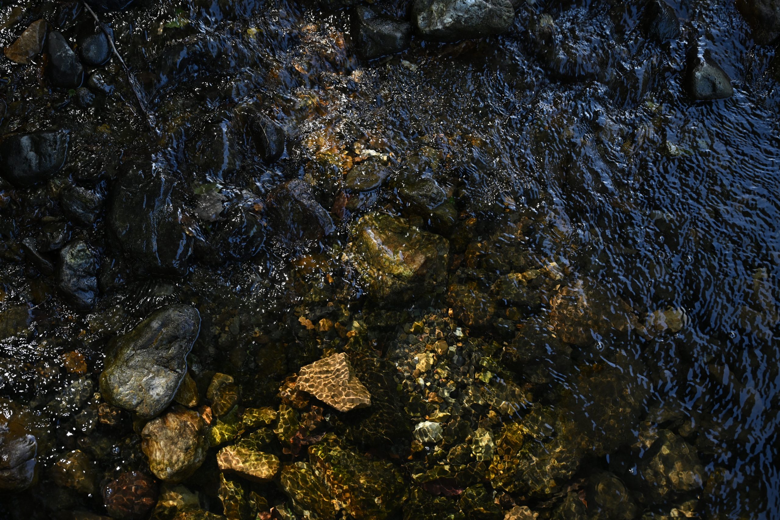 Nikon ZR + NIKKOR Z 24-70mm F4 S