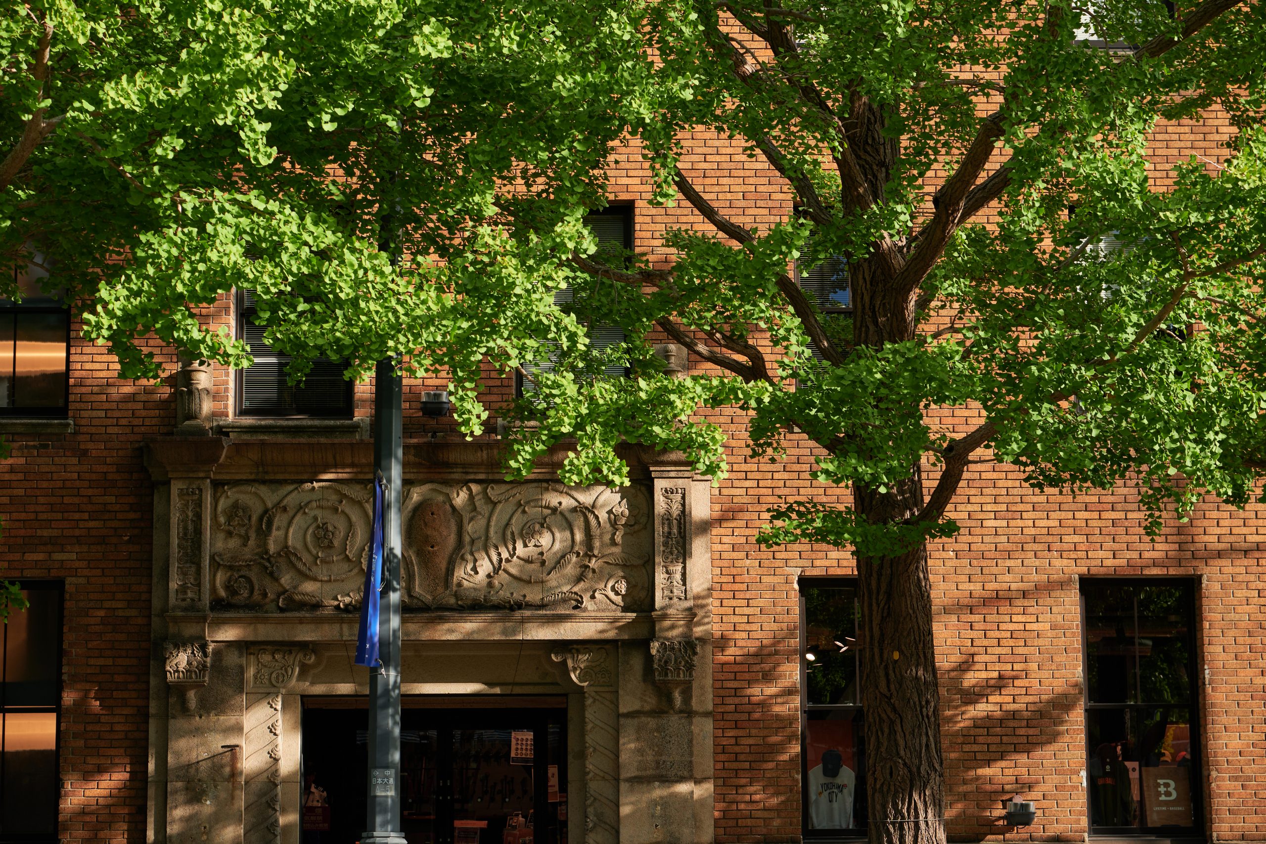 NIKKOR Z DX 16-50mm F2.8 VR