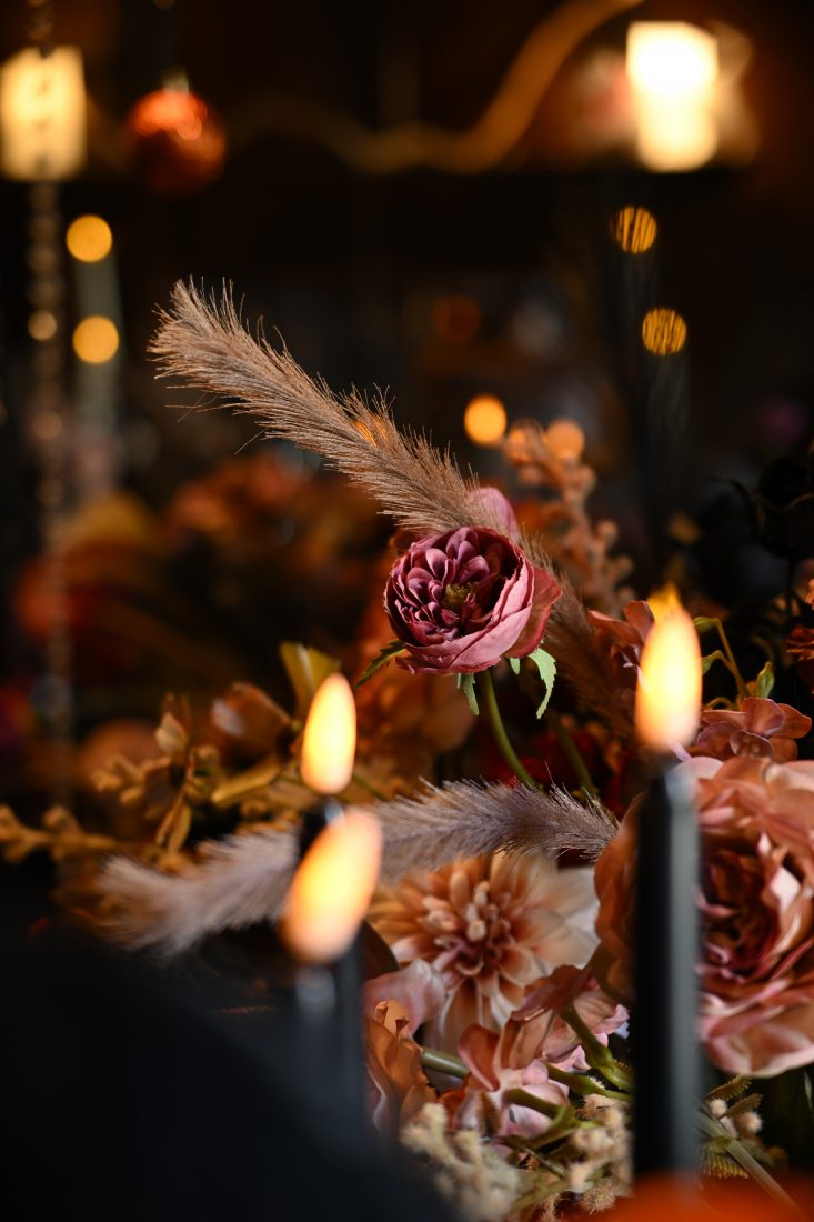 NIKKOR Z DX 16-50mm F2.8 VR