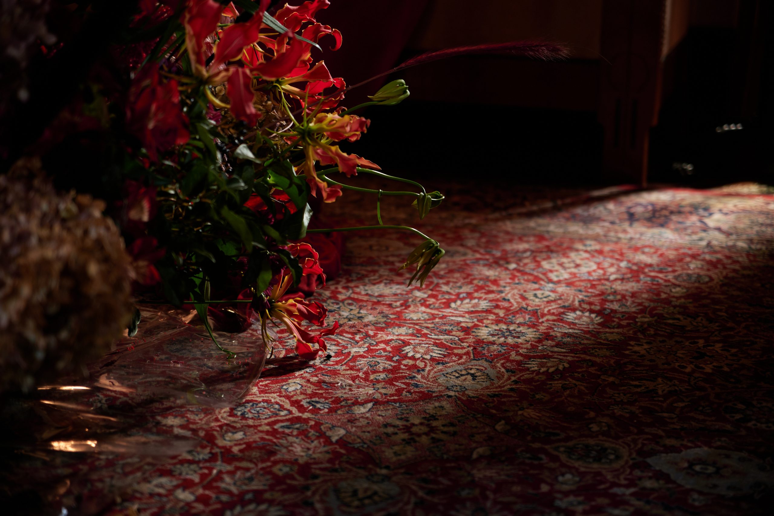 NIKKOR Z DX 16-50mm F2.8 VR