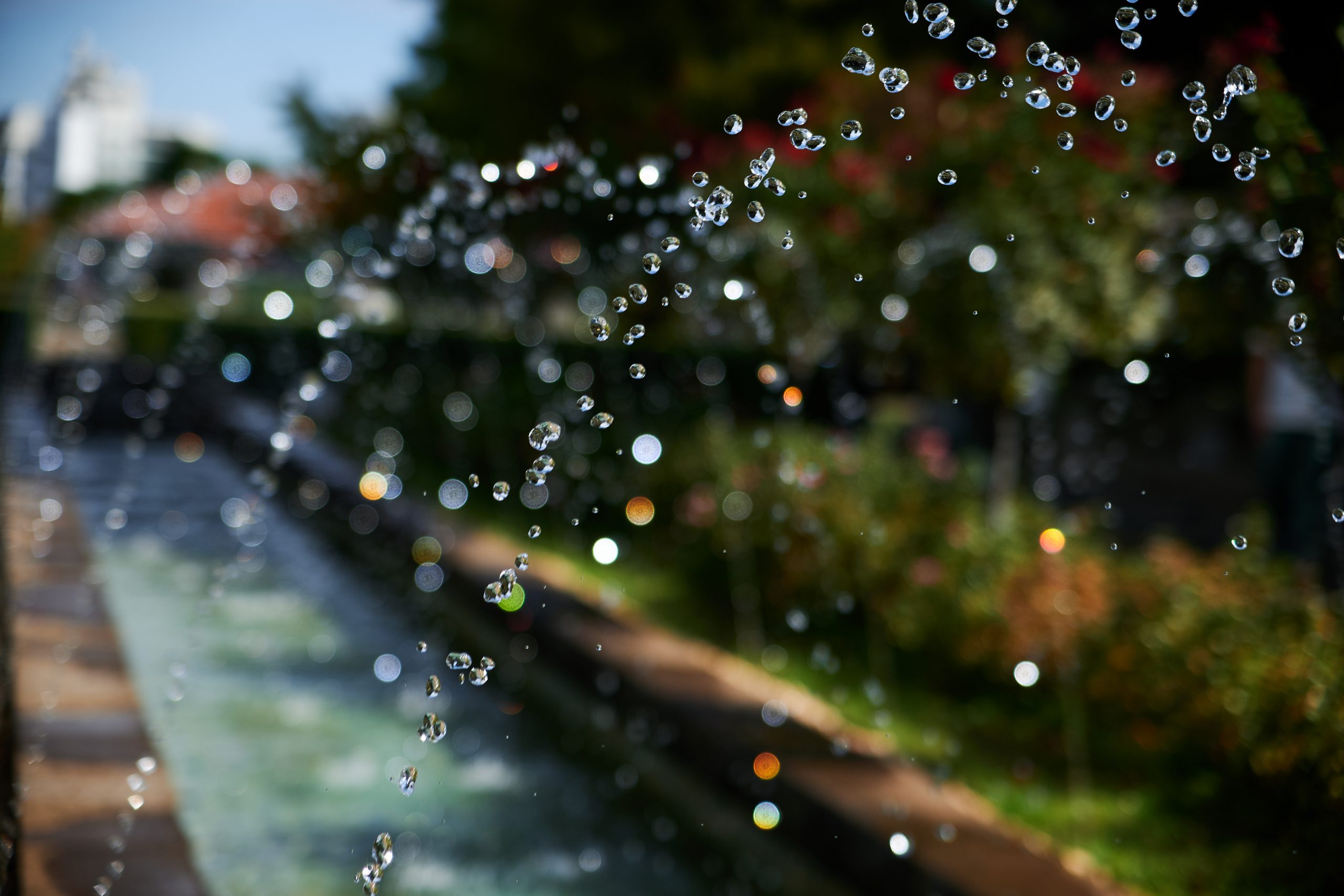 NIKKOR Z DX 16-50mm F2.8 VR