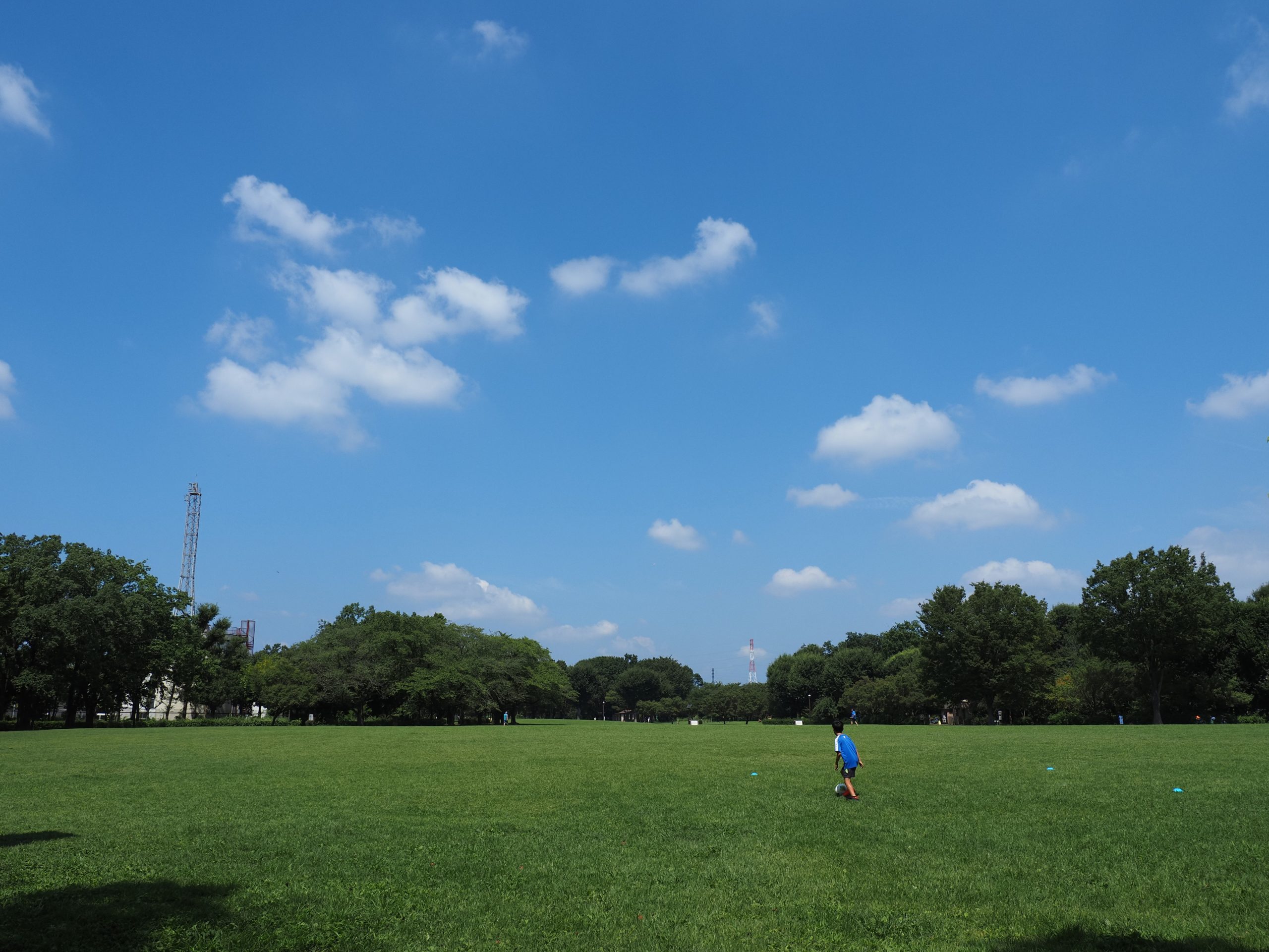 青空と緑の芝生が広がる夏の風景
