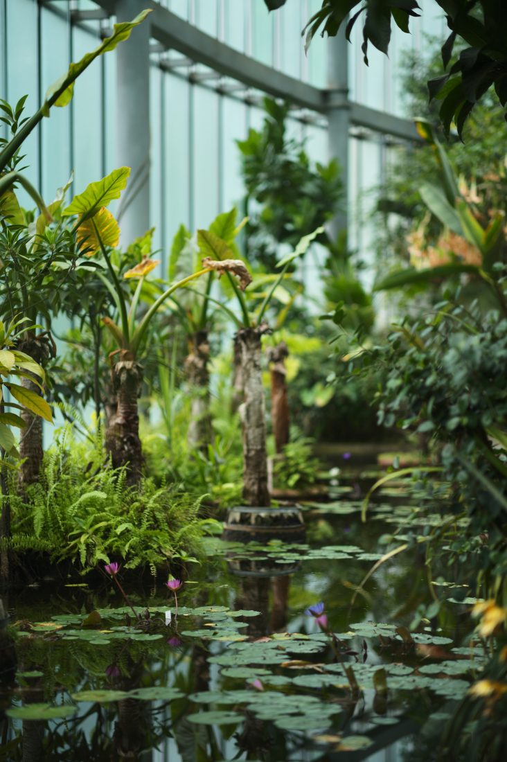 NOCTILUX M 75mm F1.25 ASPH.