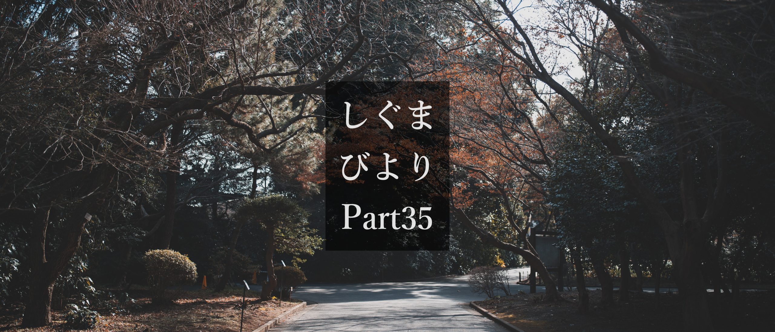 【SIGMA】しぐまびより Part35 (リニューアル比較)