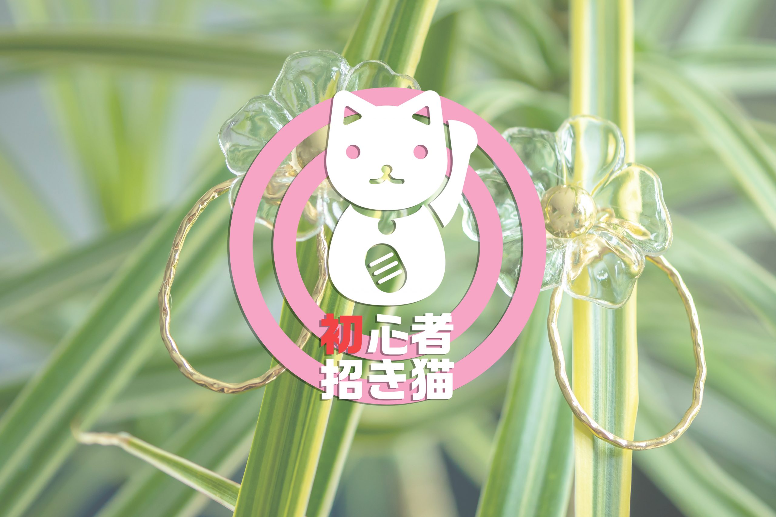 【カメラ初心者 招き猫#4】アクセサリーを綺麗に撮るコツ【Panasonic】