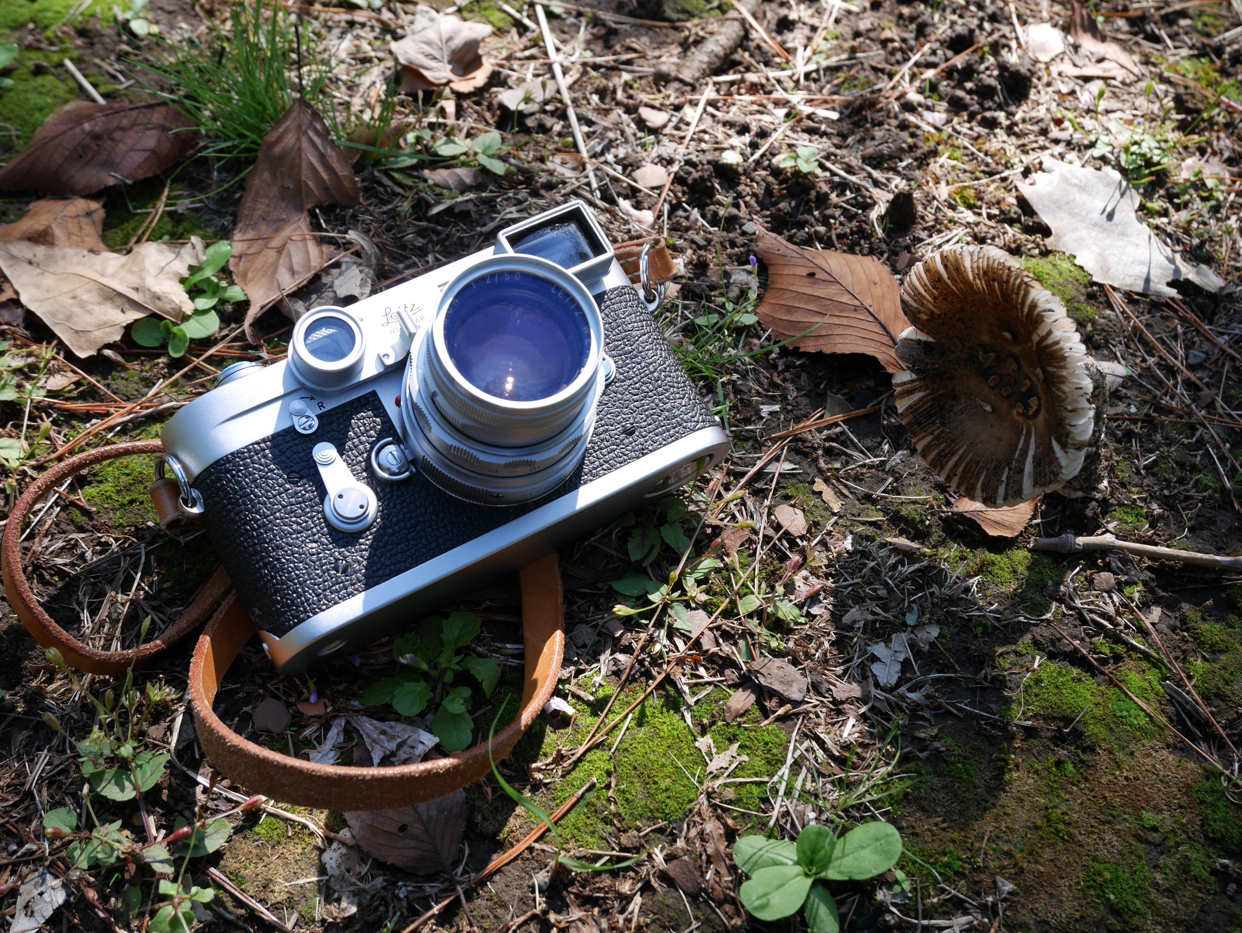 Leica M3 ＋ DR Summicron M50mm F2