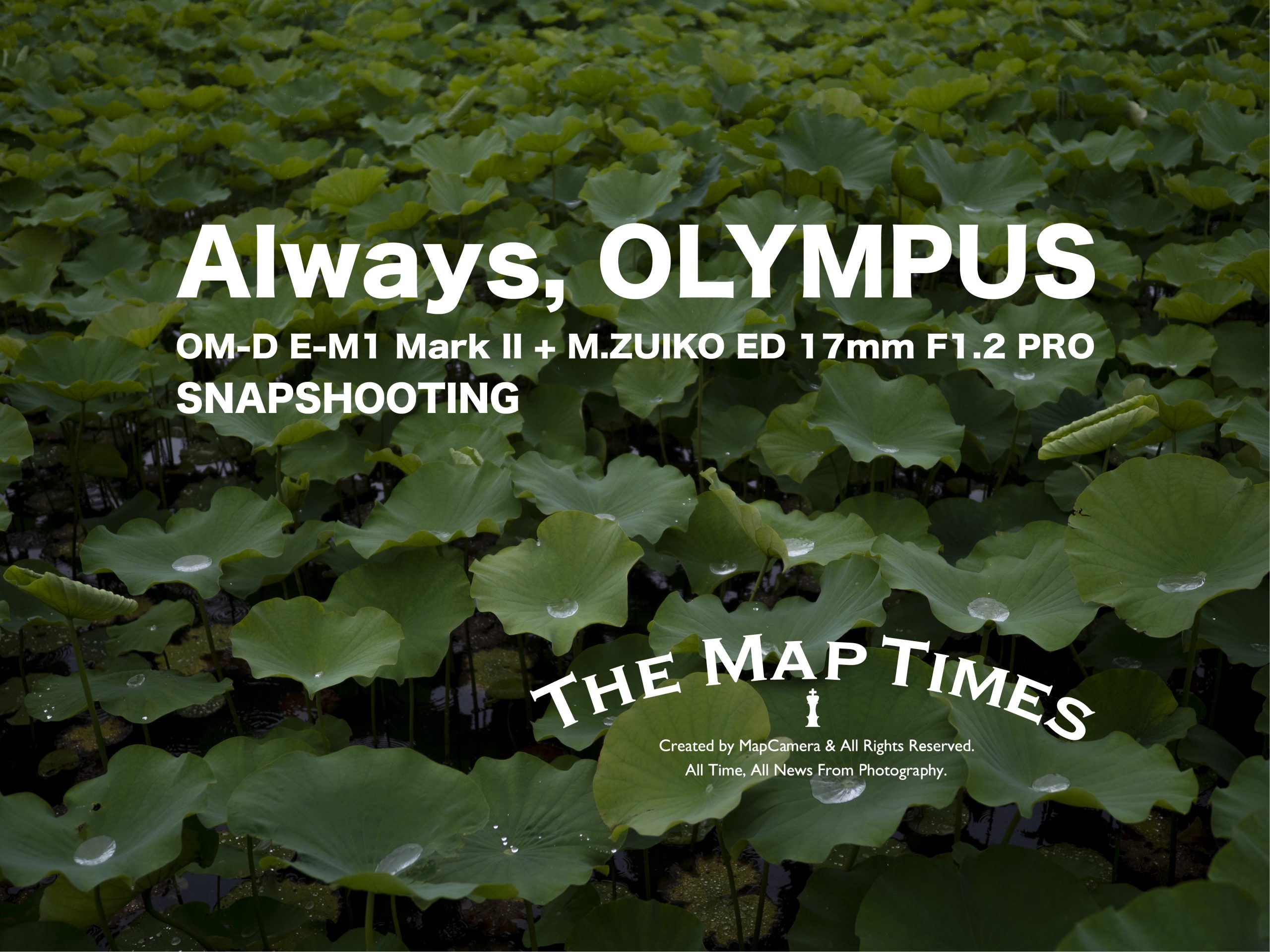 【OLYMPUS】Always, OLYMPUS Ver. OM-D E-M1 Mark II