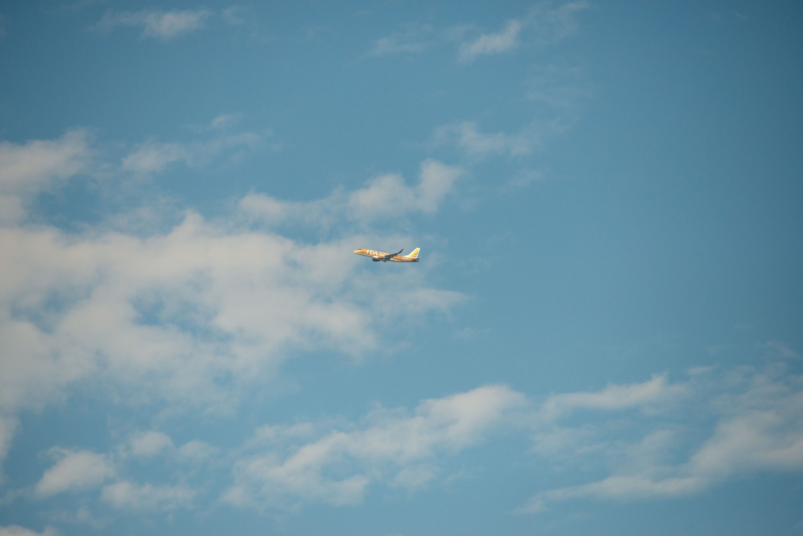 【Nikon】公園から飛行機を眺めて