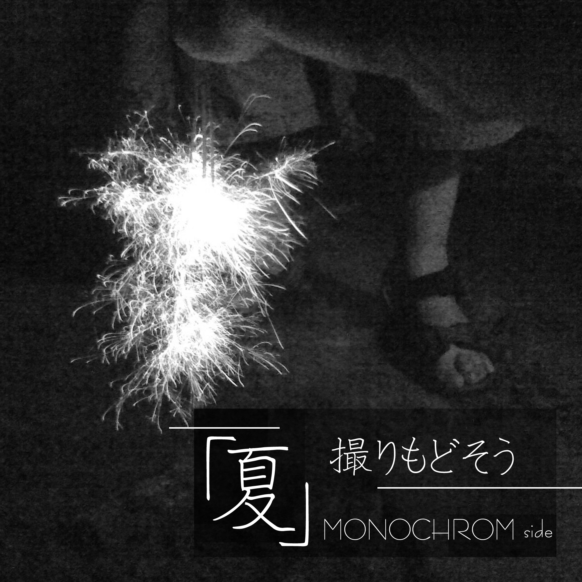 「夏」撮りもどそう MONOCHROM編