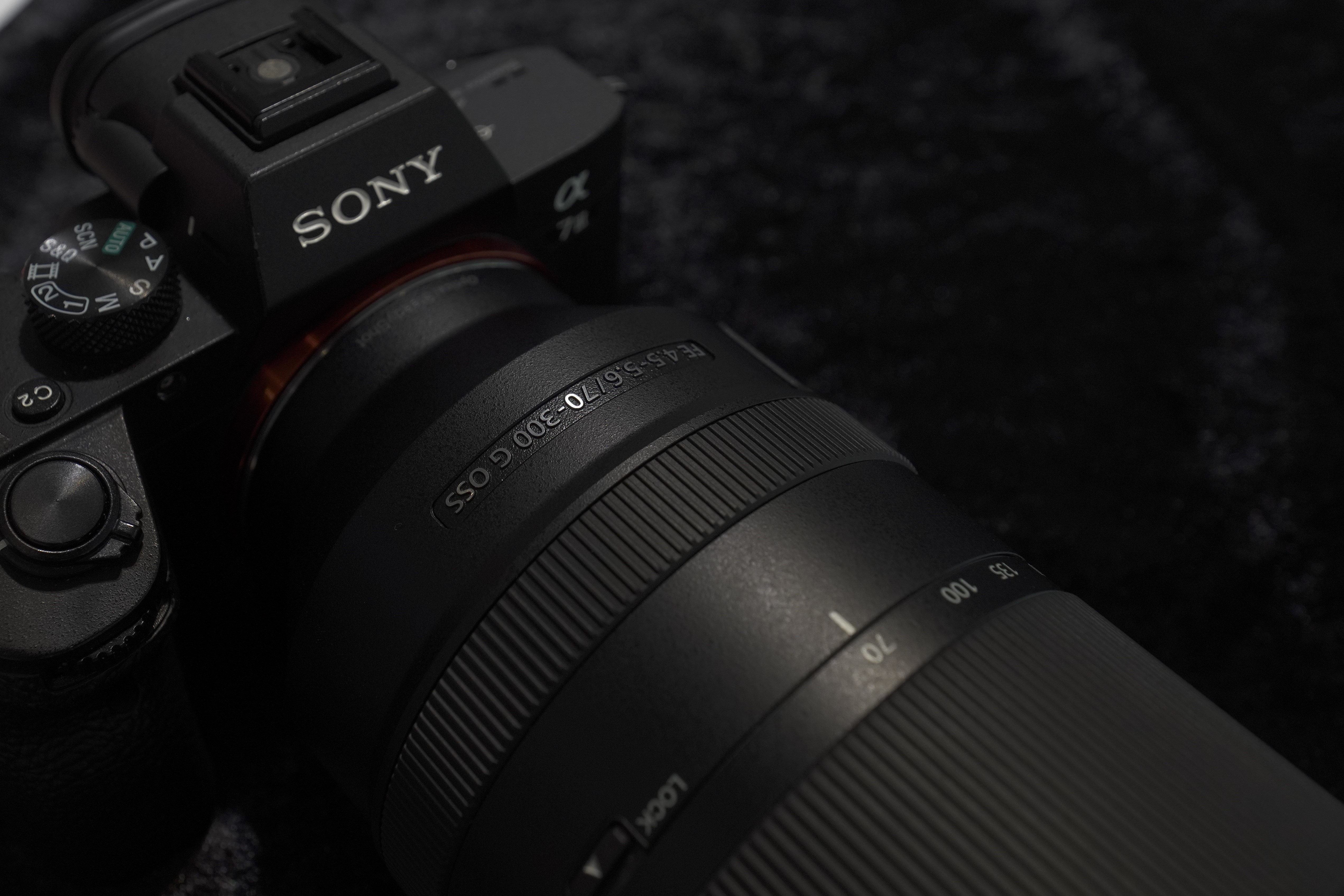 好機到来】FE 70-300mm F4.5-5.6 G OSSが欲しい。 | THE MAP TIMES