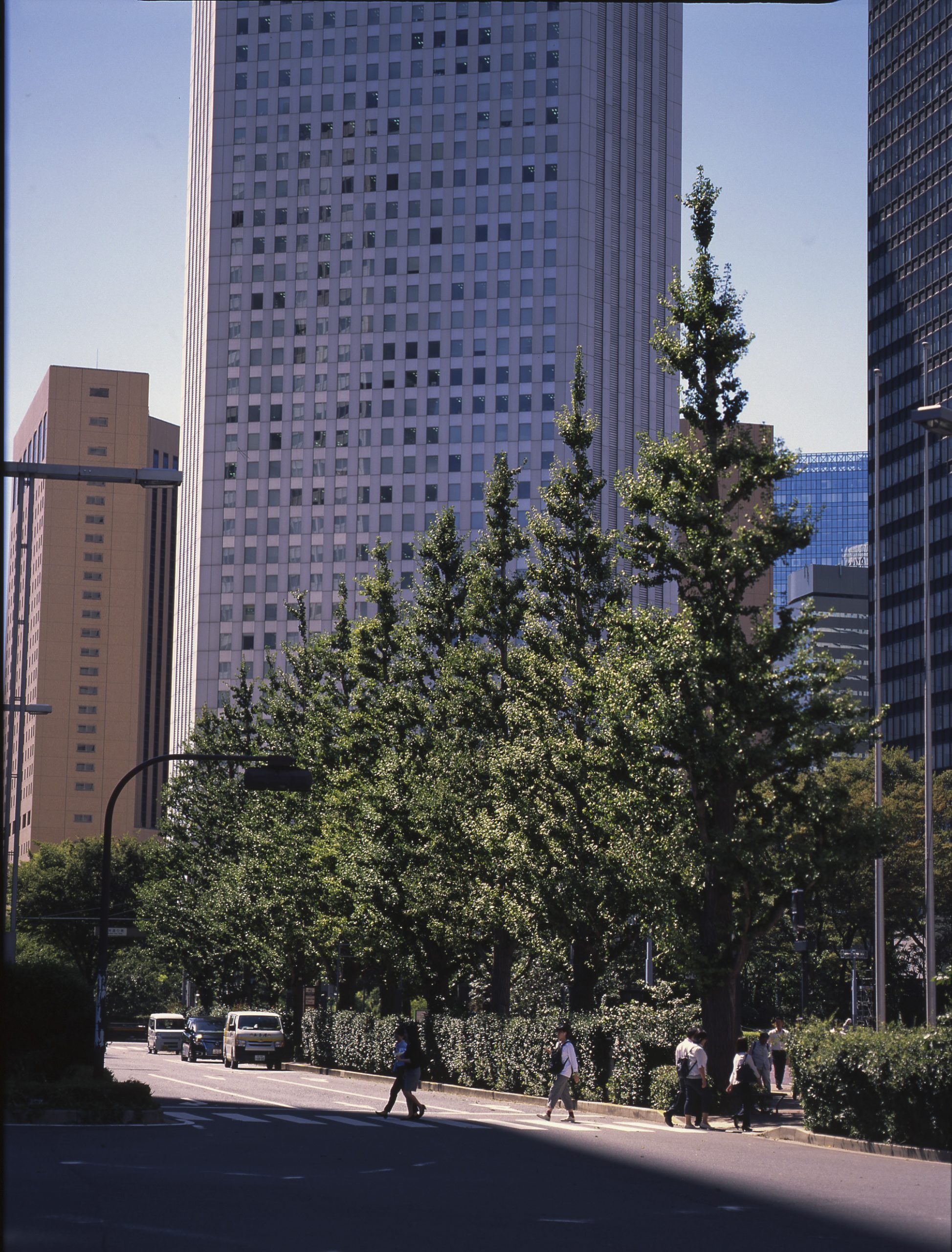 銀塩写真列伝 FUJIFILM VELVIA50編 | THE MAP TIMES