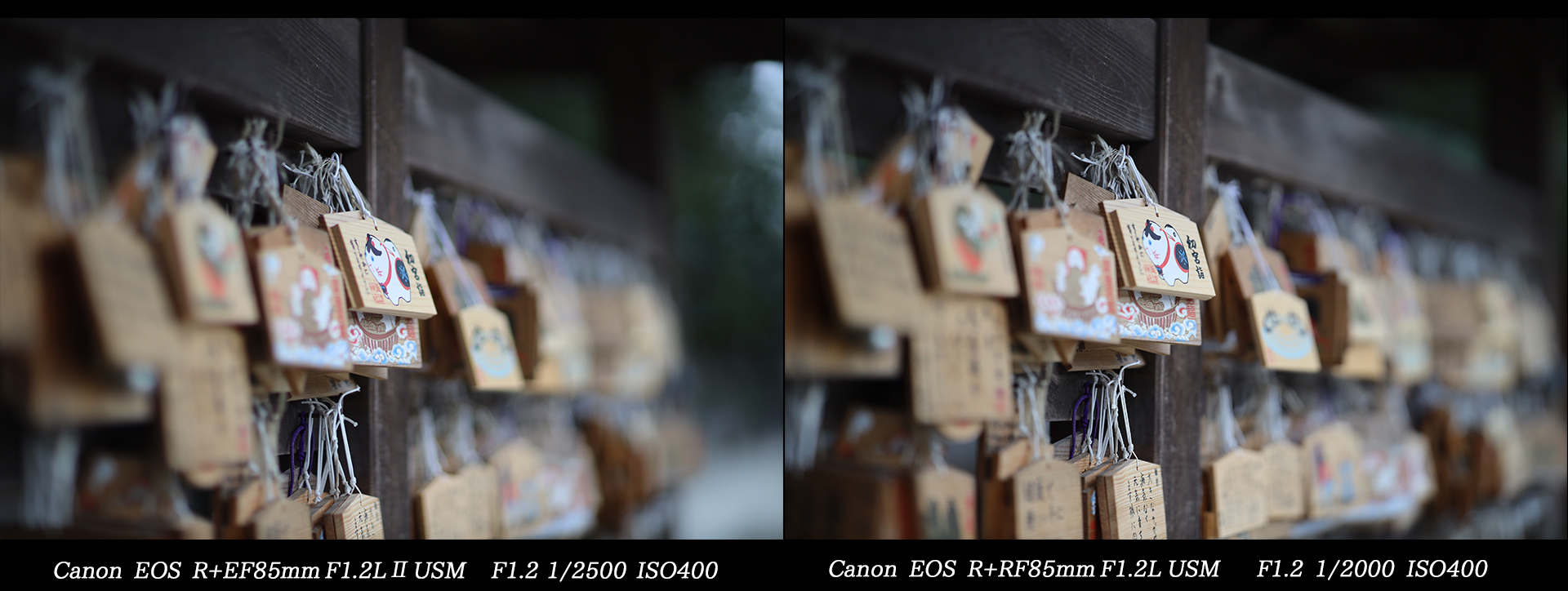 新旧共存】Canon EF 85mm F1.2L Ⅱ USMと RF85mm F1.2L USM | THE MAP