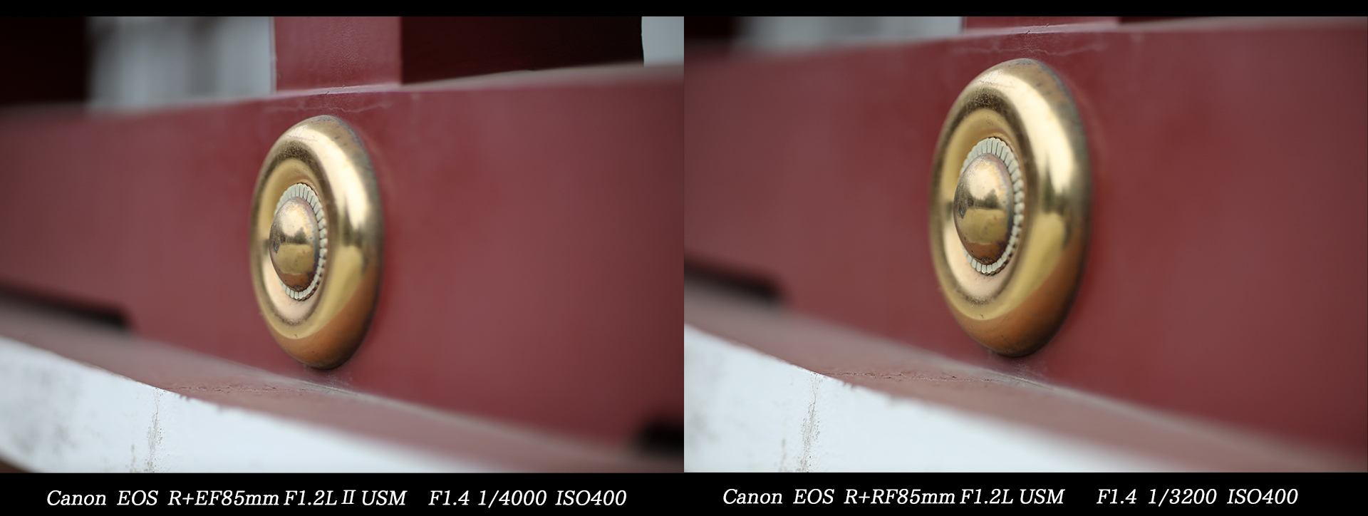 新旧共存】Canon EF 85mm F1.2L Ⅱ USMと RF85mm F1.2L USM | THE MAP 