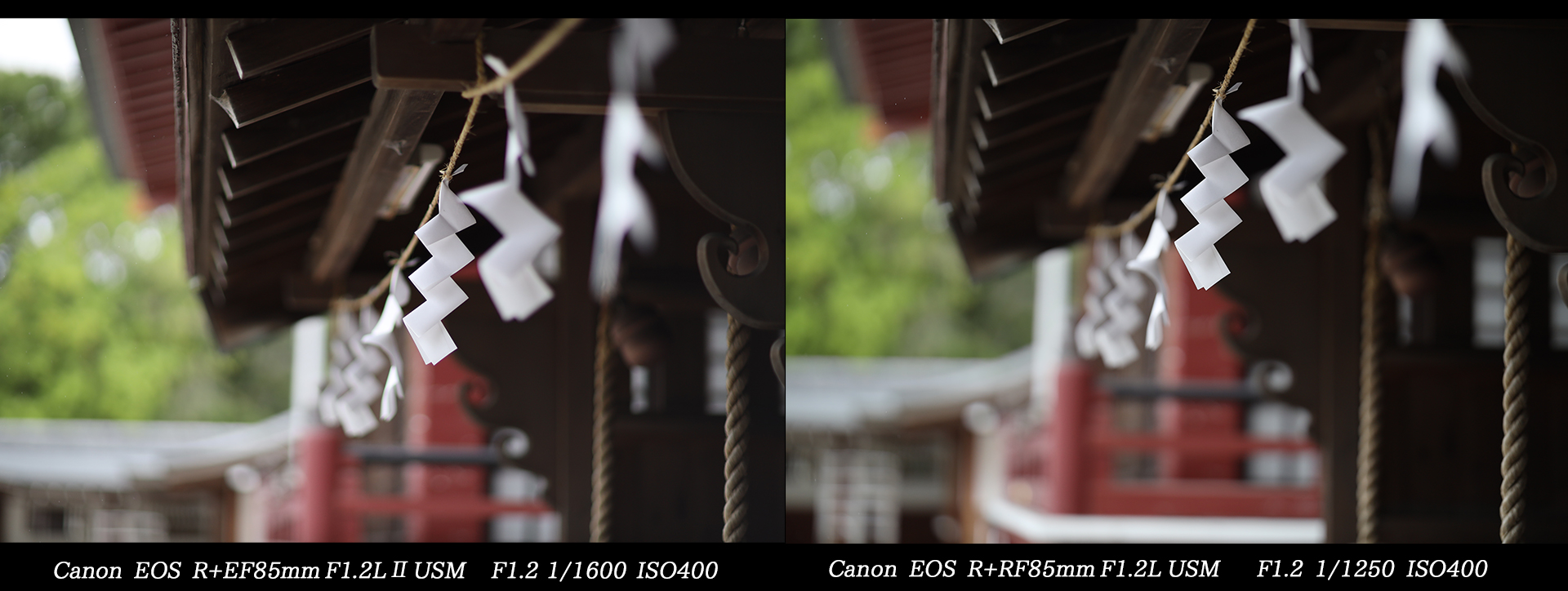 新旧共存】Canon EF 85mm F1.2L Ⅱ USMと RF85mm F1.2L USM | THE MAP ...