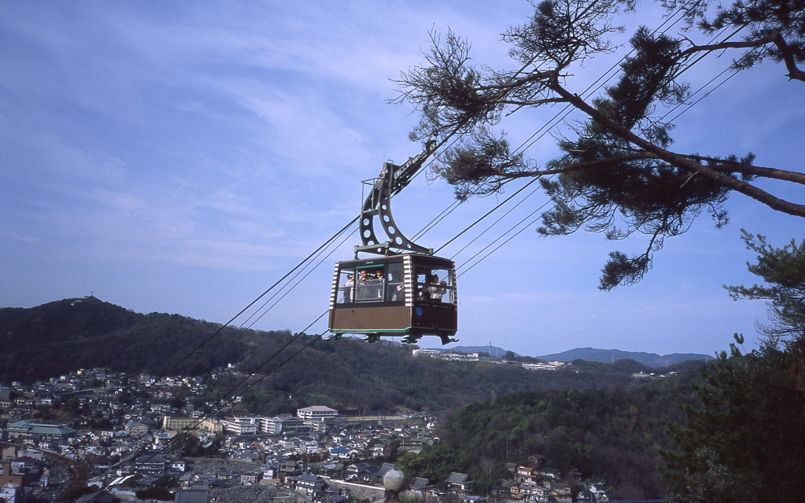 銀塩写真列伝 FUJIFILM PROVIA100F編 | THE MAP TIMES