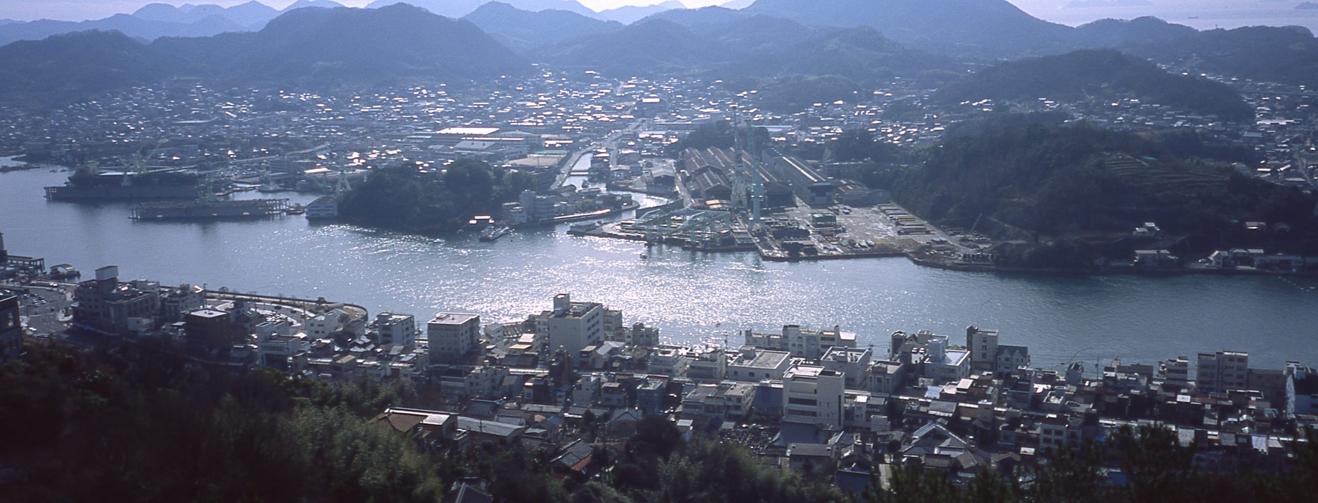 銀塩写真列伝 FUJIFILM PROVIA100F編 | THE MAP TIMES