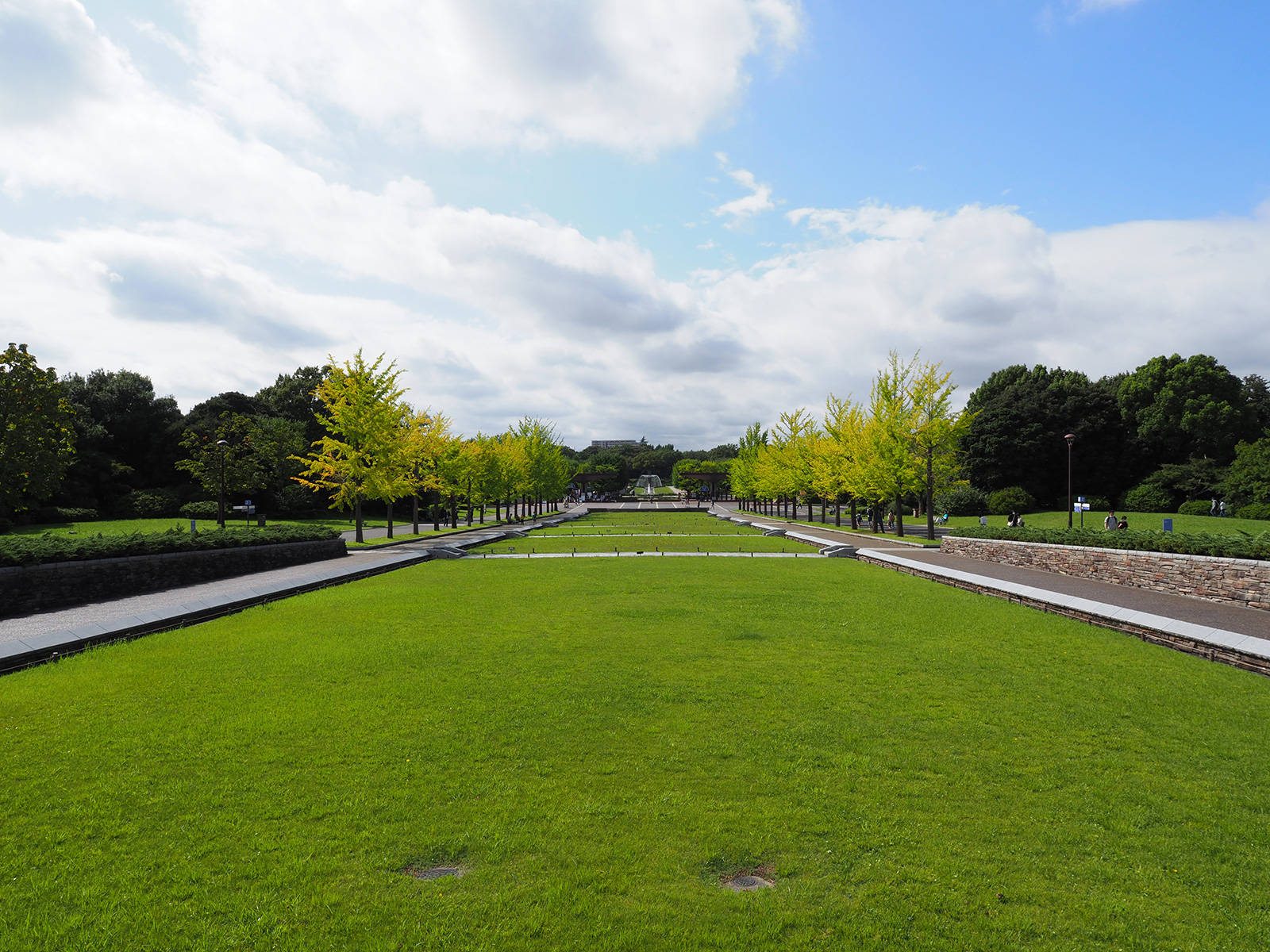 カメラ レンズ(単焦点) OLYMPUS】M.ZUIKO DIGITAL ED 12mm F2.0～晩夏を撮り歩き | THE MAP TIMES