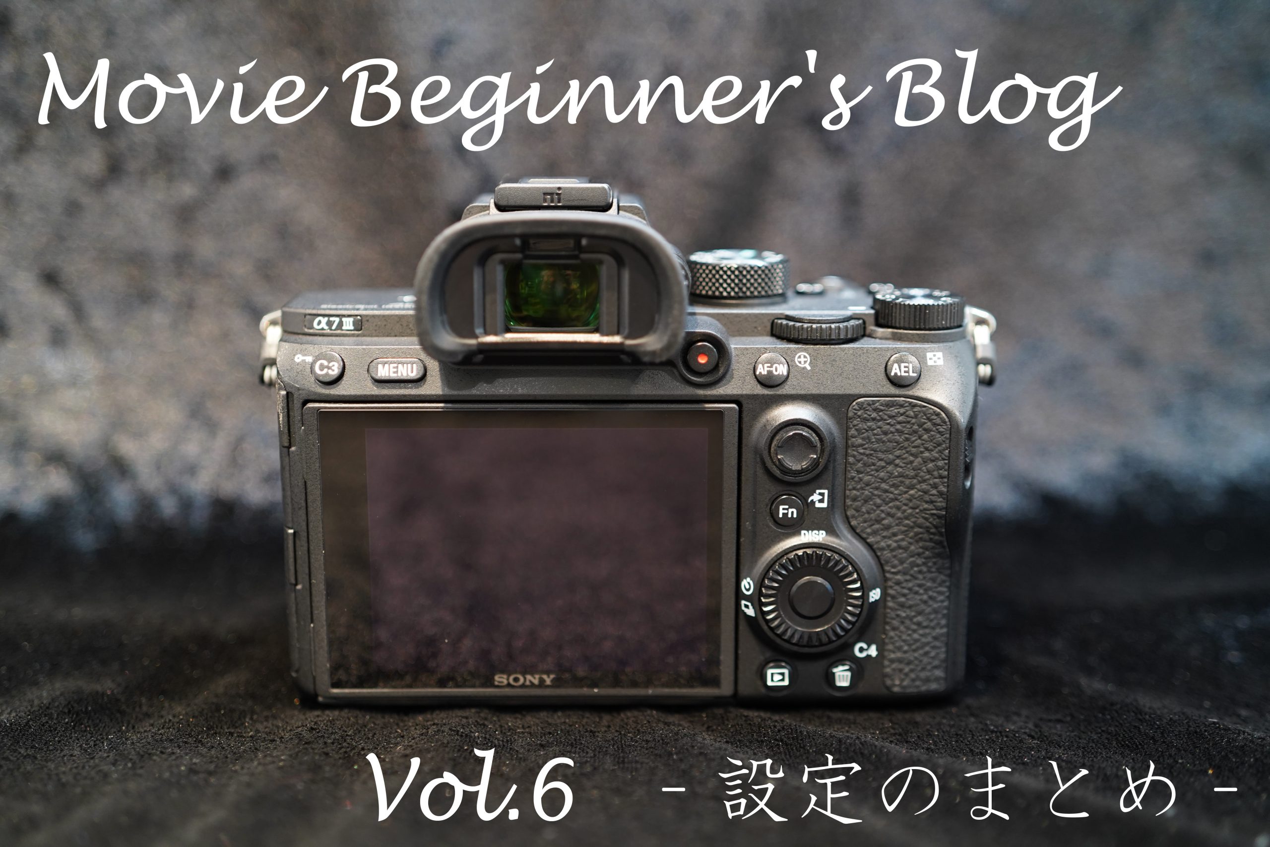 【SONY】Movie Beginner’s Blog Vol.6 -設定のまとめ-