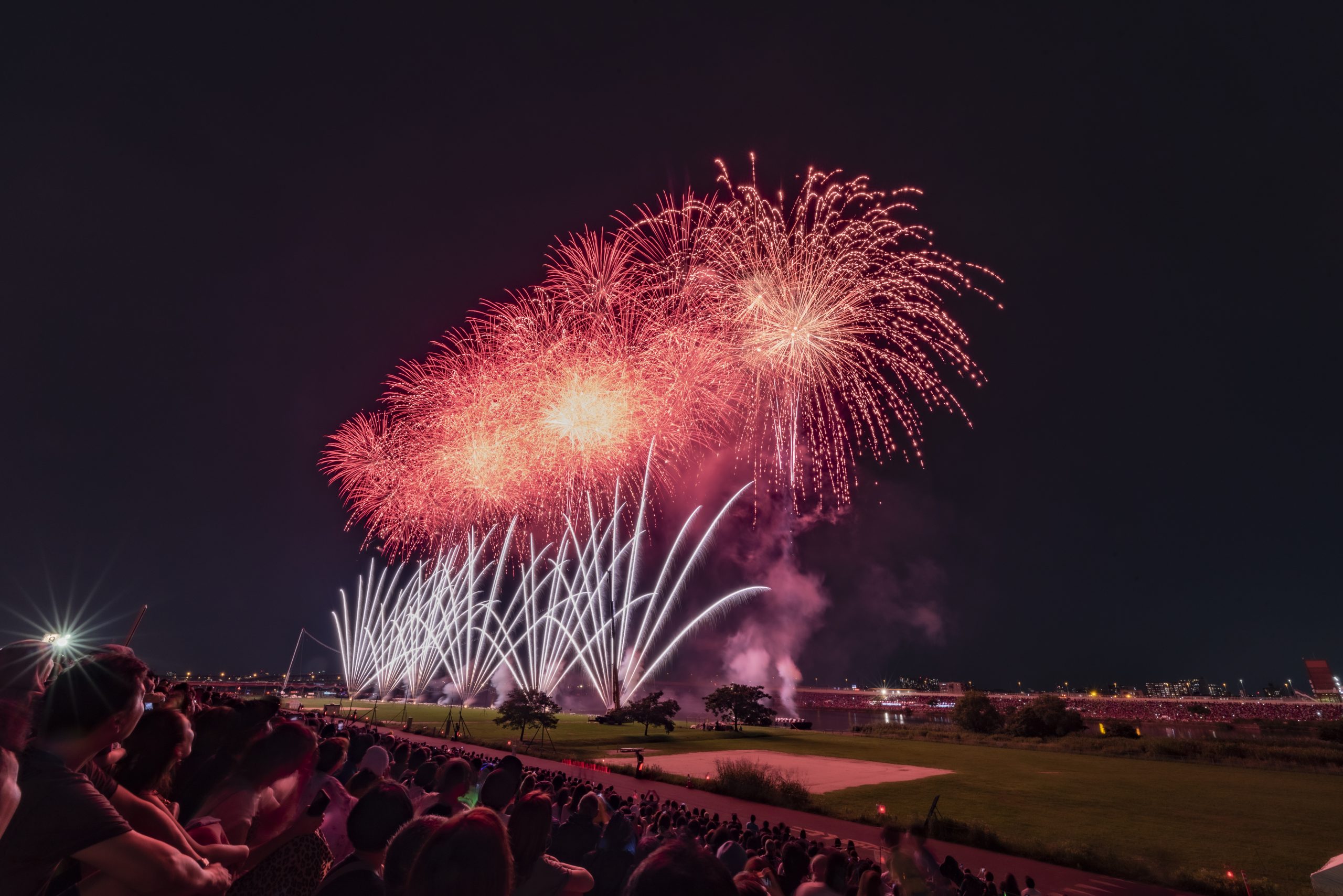 タイムズフェス 夜空に咲く大輪 花火を写真に写す The Map Times