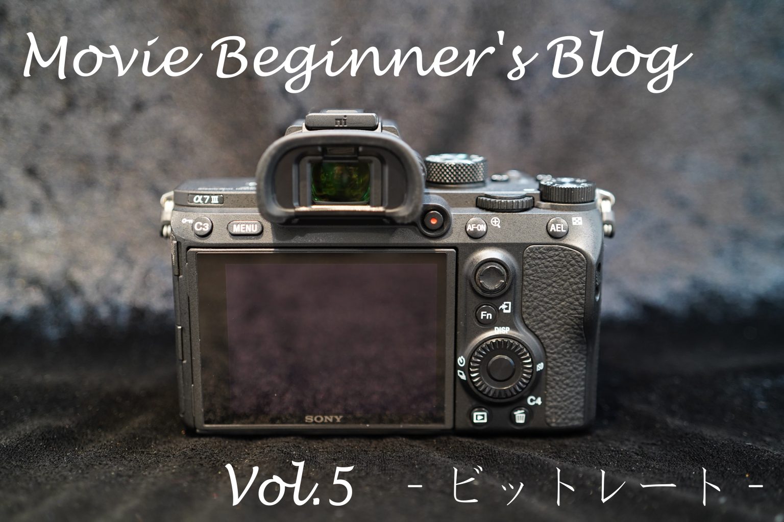 【SONY】Movie Beginner’s Blog Vol.5 -ビットレート-