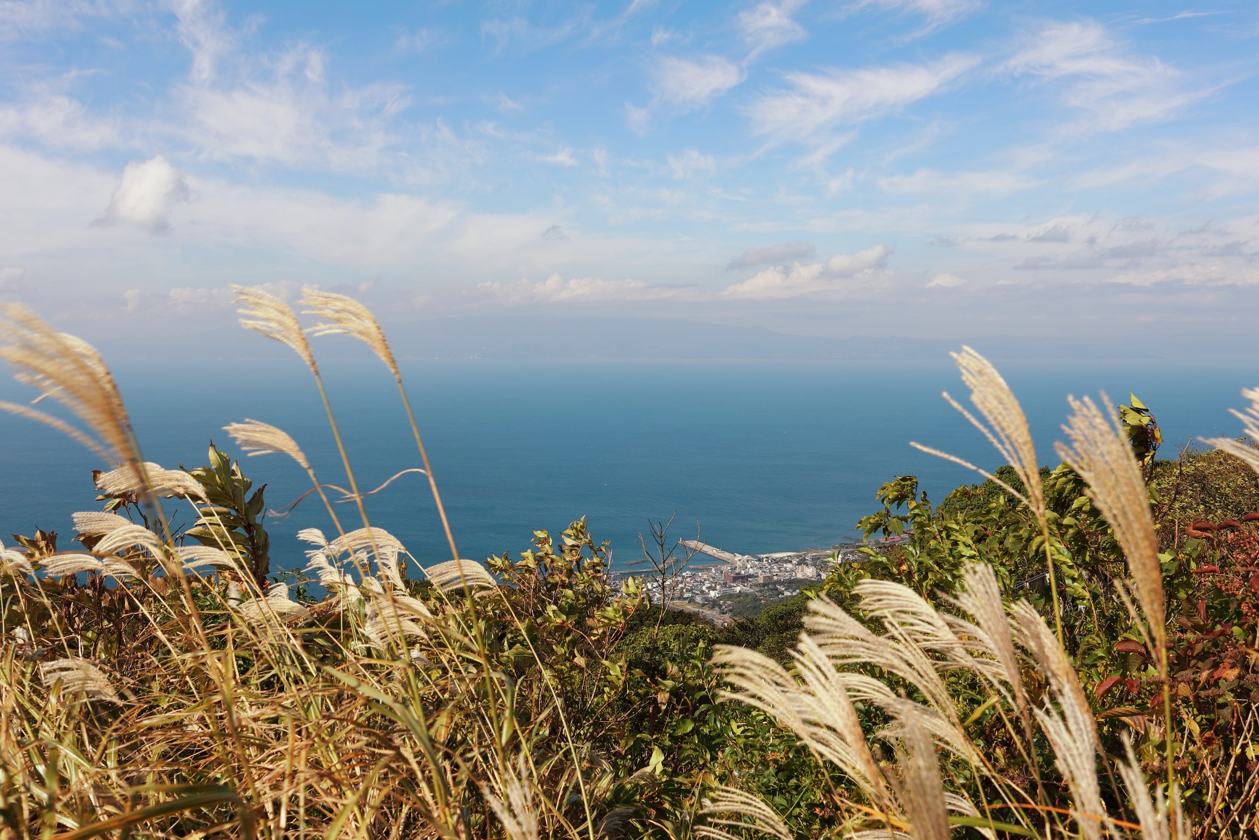 【Go To フォト】EOS 5D Mark IVを使って伊豆大島に行ってきました