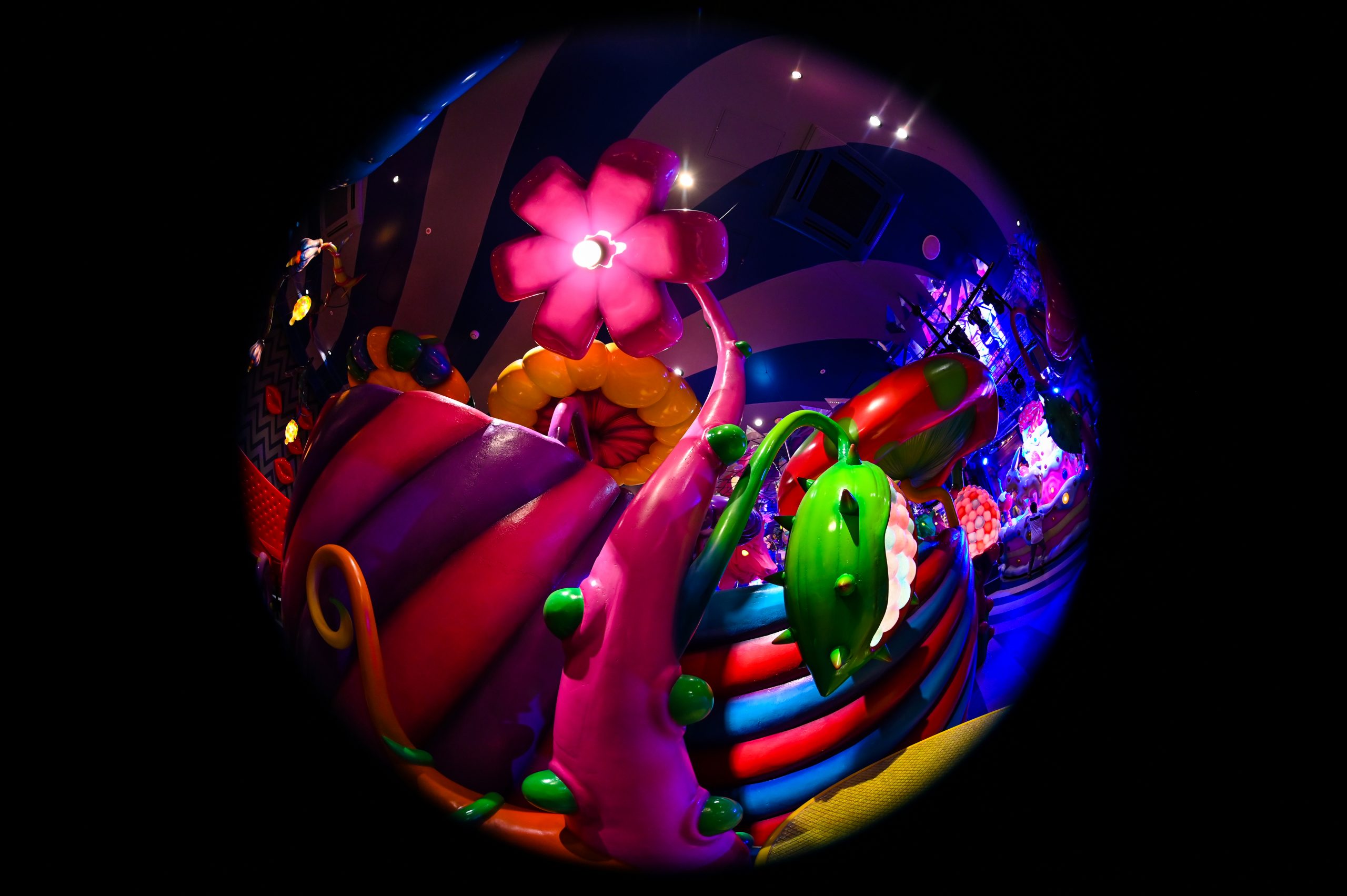 【Nikon】円周魚眼レンズで街撮りスナップ【Fisheye】