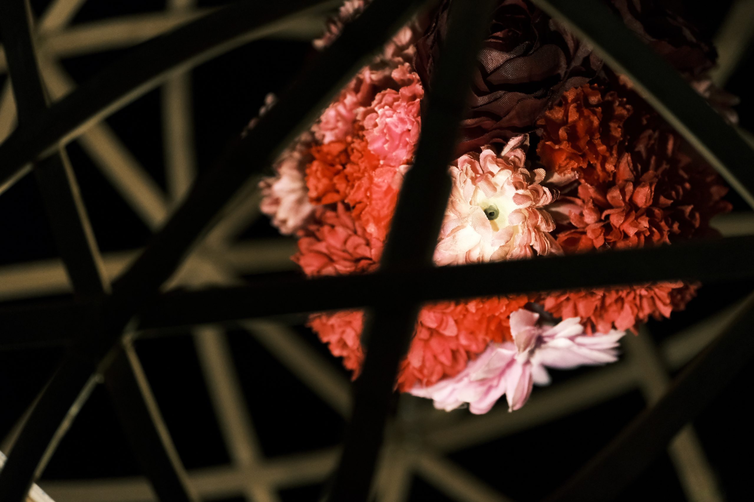 【FUJIFILM】フジとツァイスと花日和