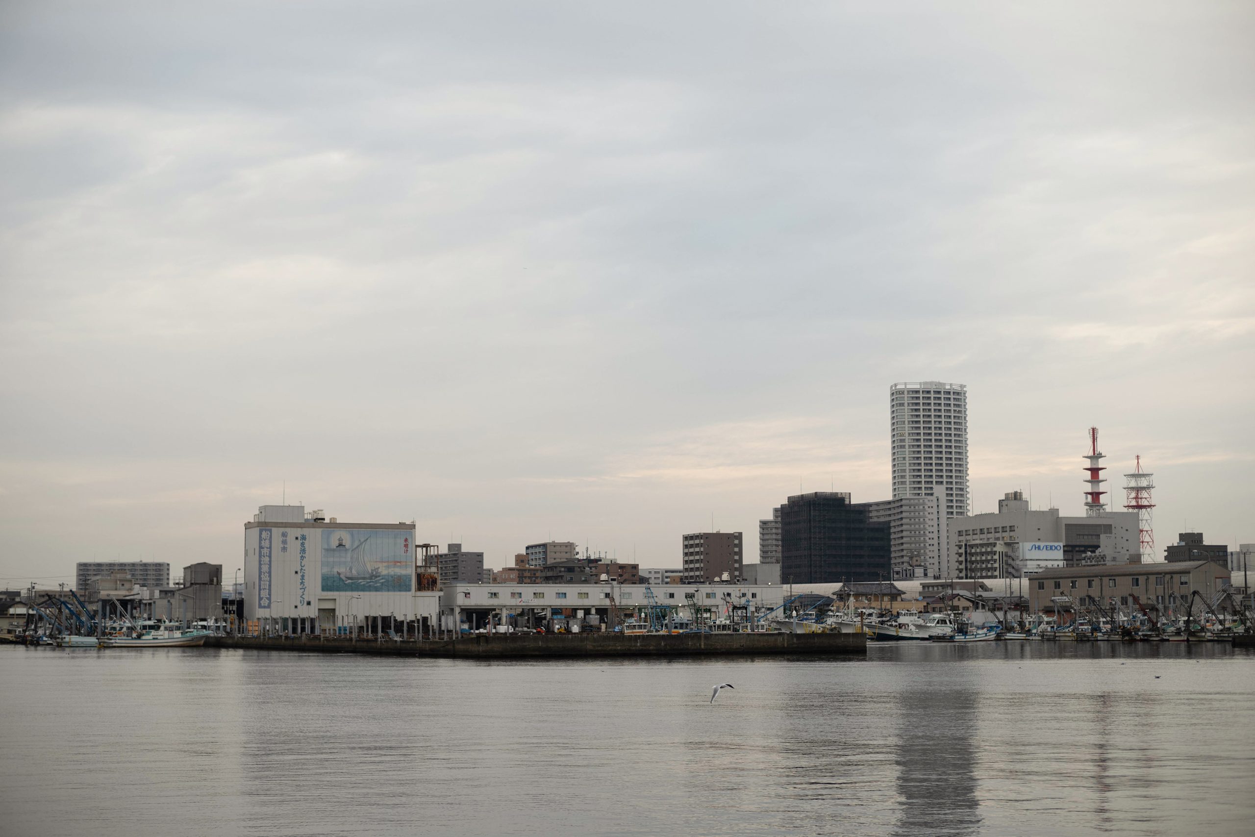 対岸の漁港