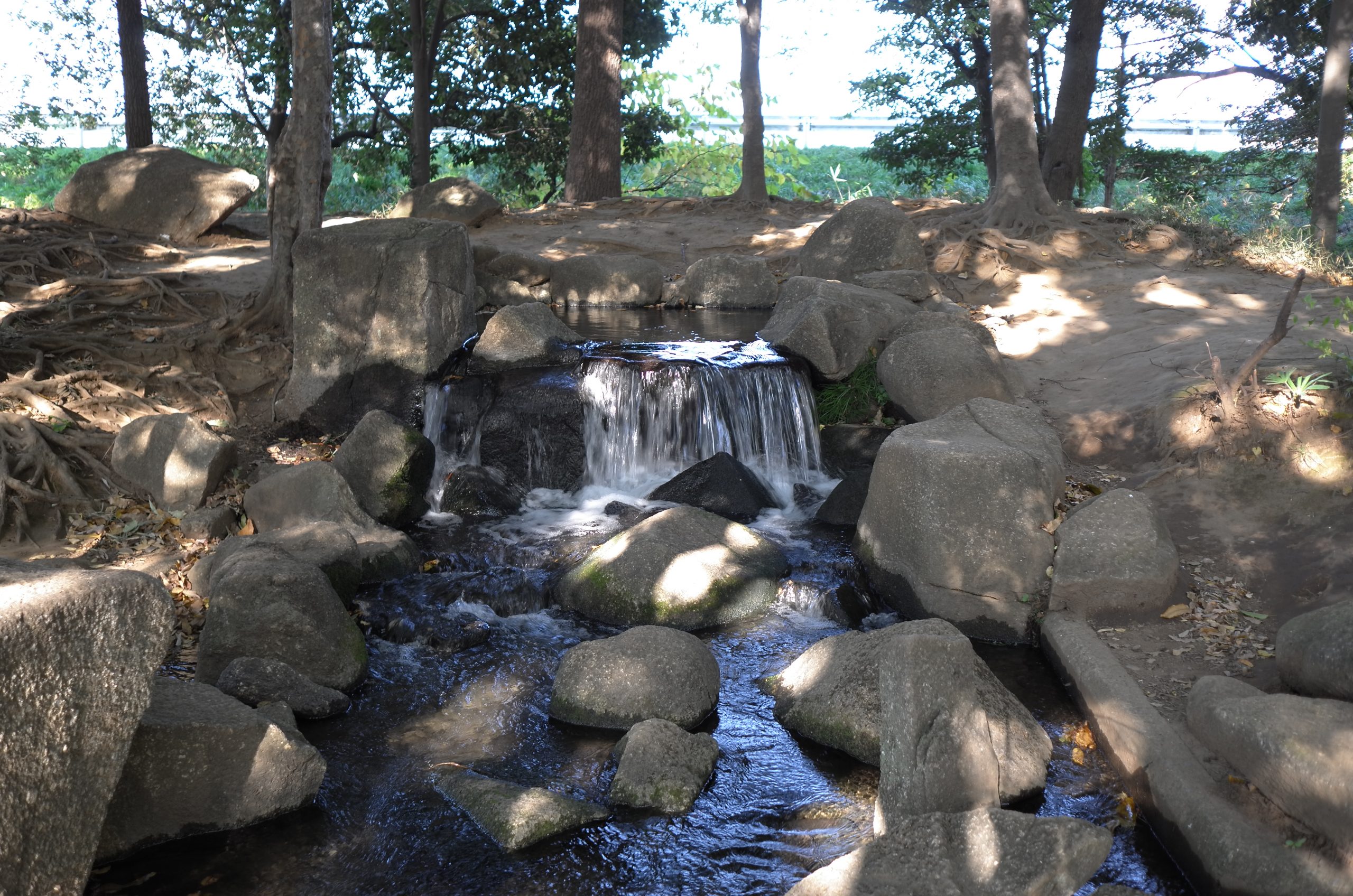 【Go To フォト】Leica X2を片手に近所の公園へ