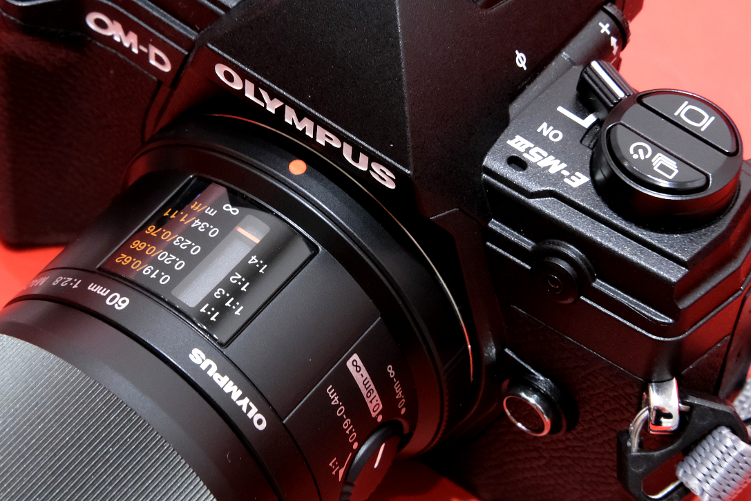 OLYMPUS】M.ZUIKO DIGITAL ED60mm F2.8 Macro と 今年の抱負 | THE MAP