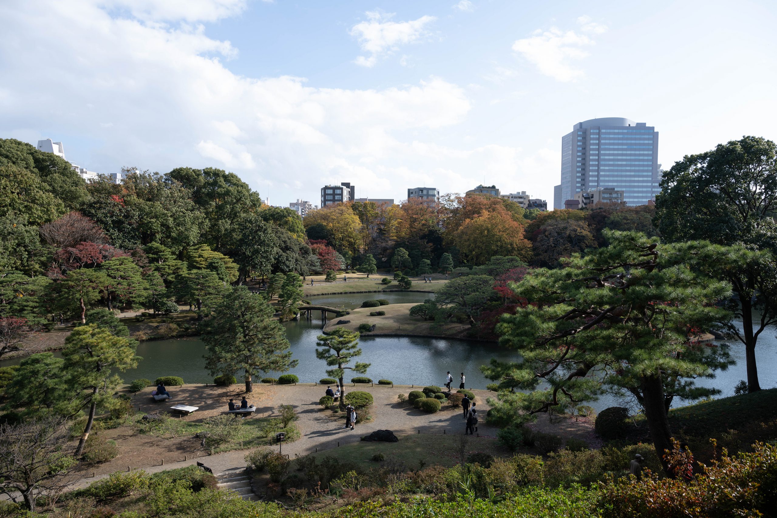 【Nikon】NIKKOR Z F2.8ズームで紅葉を撮る