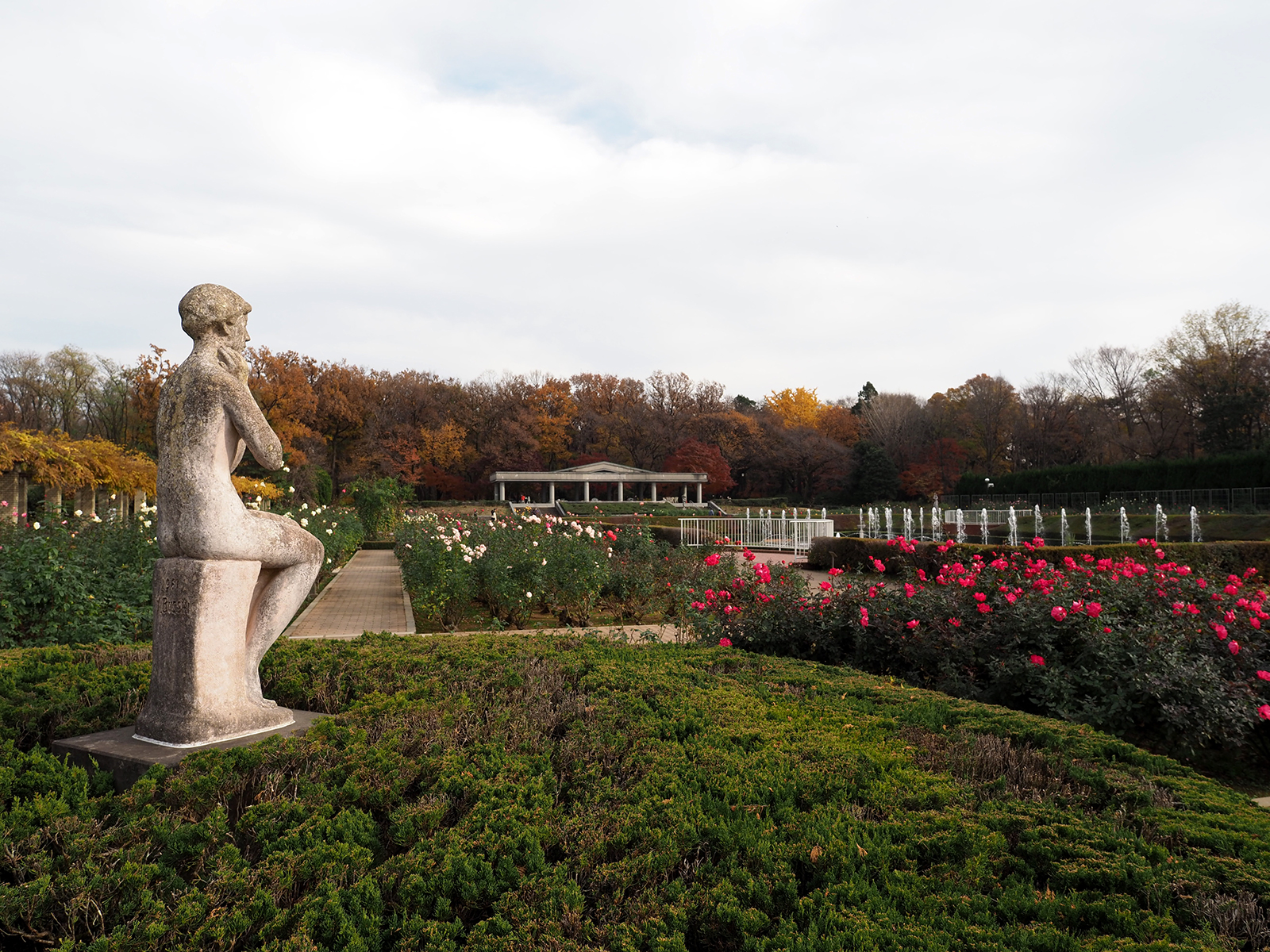 【OLYMPUS】OM-D E-M1 Mark IIで撮り歩き~in 神代植物公園