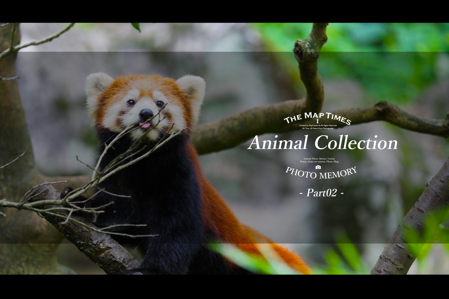 【SONY＆OLYMPUS】アニコレ～Animal collection～　Part2