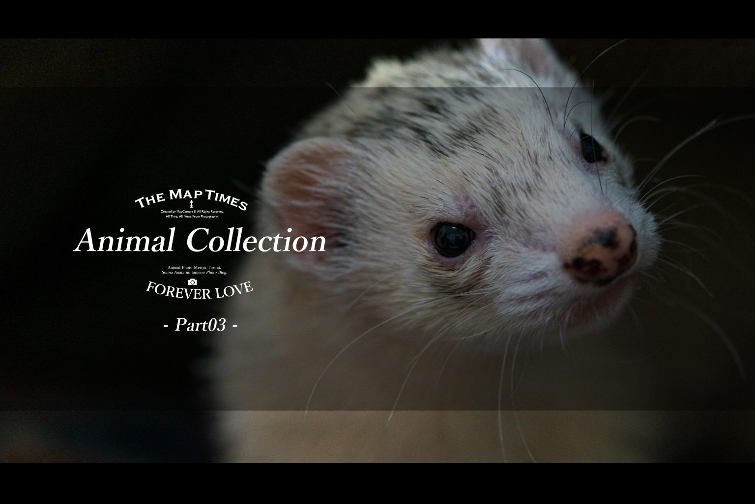 【SONY＆OLYMPUS】アニコレ～Animal collection～　Part3
