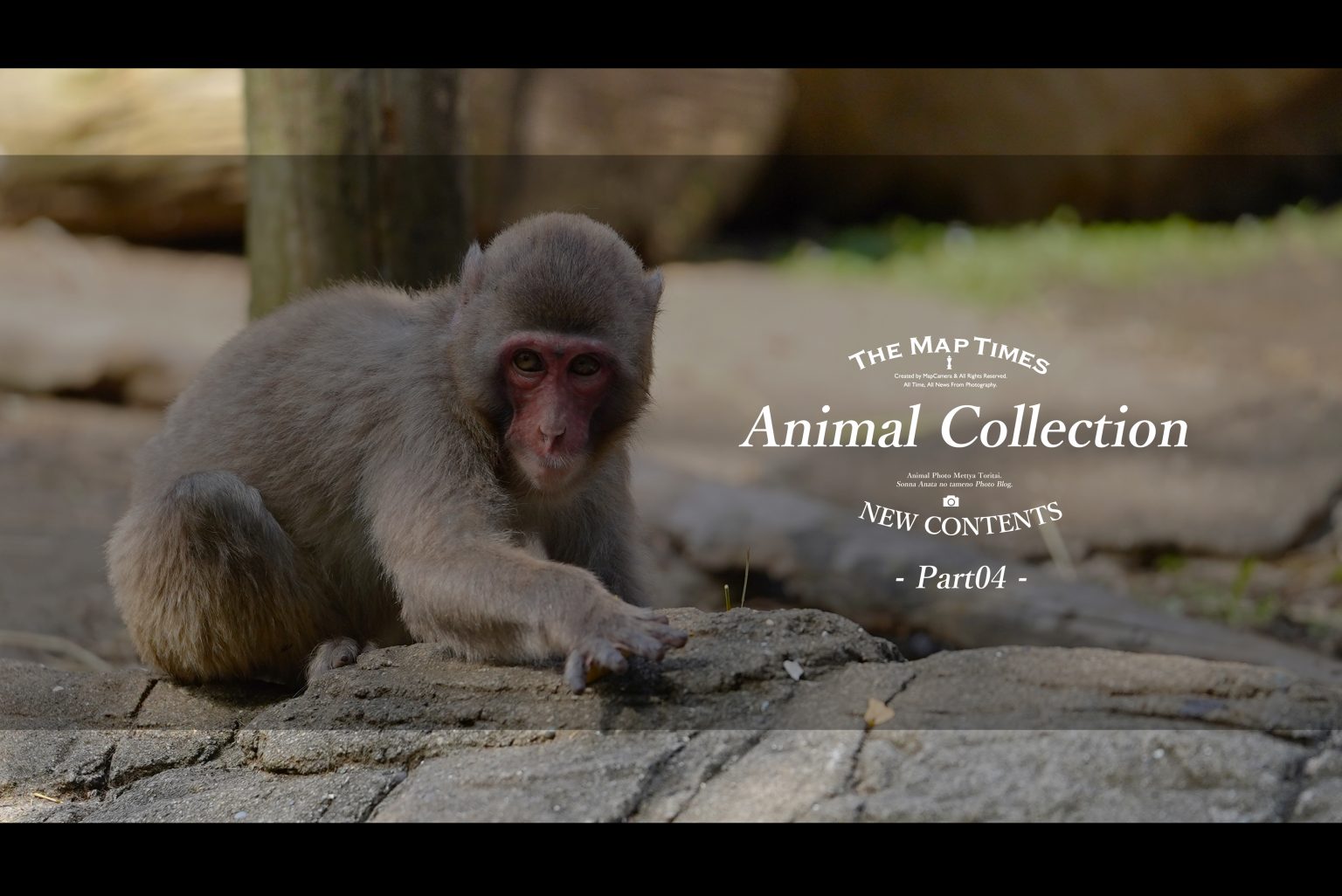 【SONY】アニコレ～Animal collection～Part4